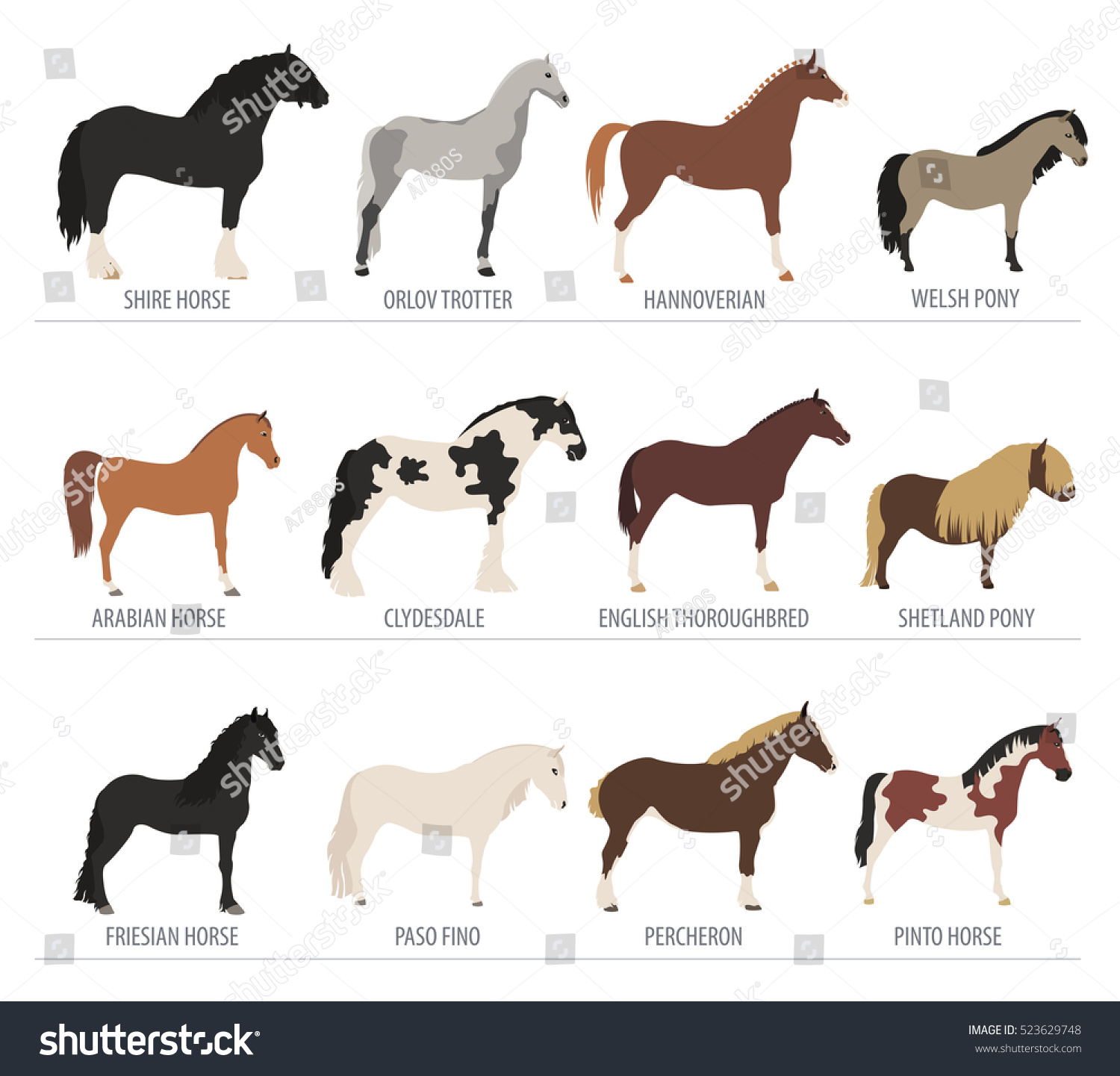 Horse Breeding Isolated Icon Set Mustang Stock Vector (Royalty Free ...