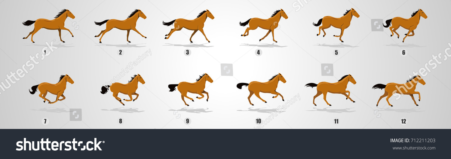 Horse Run Cycle Animation Loop Animation Stock Vector 712211203 ... for Animation Horse Running
45gtk Horse Run Cycle Animation Loop Animation Stock Vector 712211203 ... for Animation Horse Running
45gtk