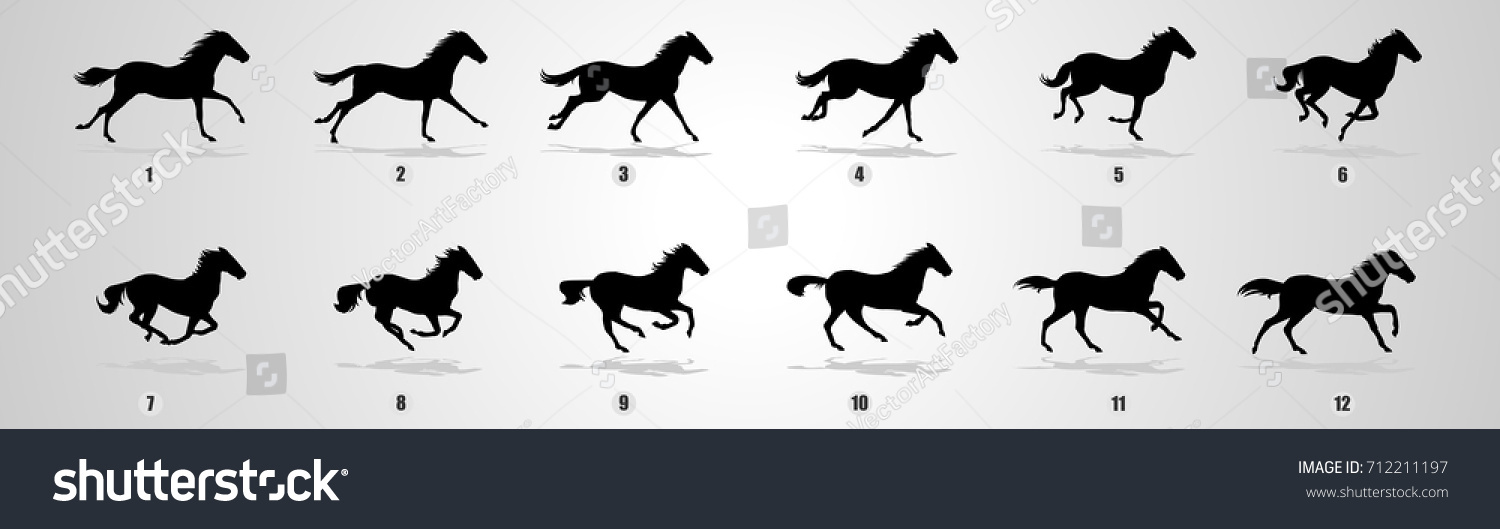 Horse Run Cycle Silhouette Animation Loop Stock Vector 712211197 ... for Animation Horse Running
61obs Horse Run Cycle Silhouette Animation Loop Stock Vector 712211197 ... for Animation Horse Running
61obs