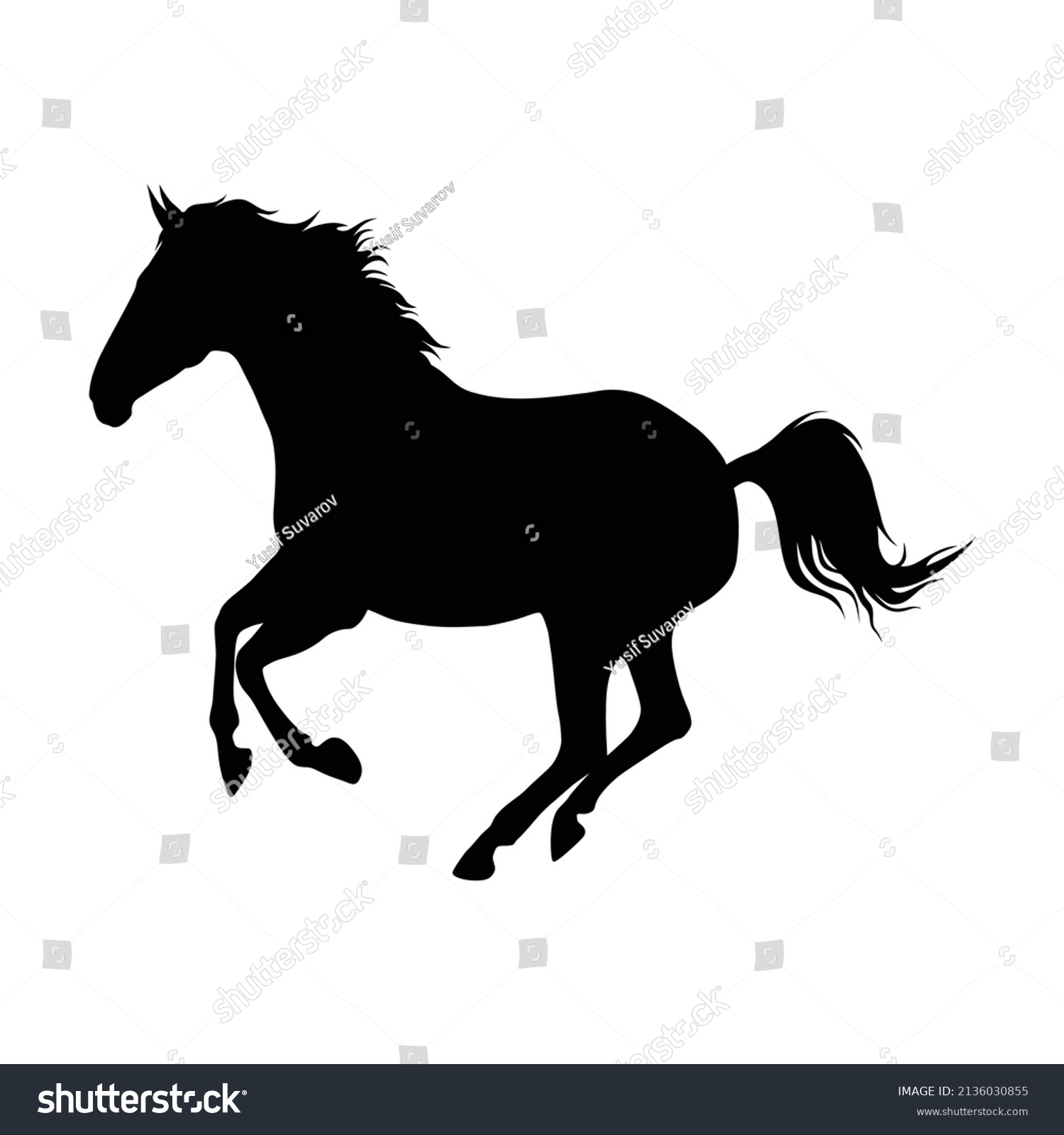 Horse Silhouette Vector Black White Stock Vector (Royalty Free ...