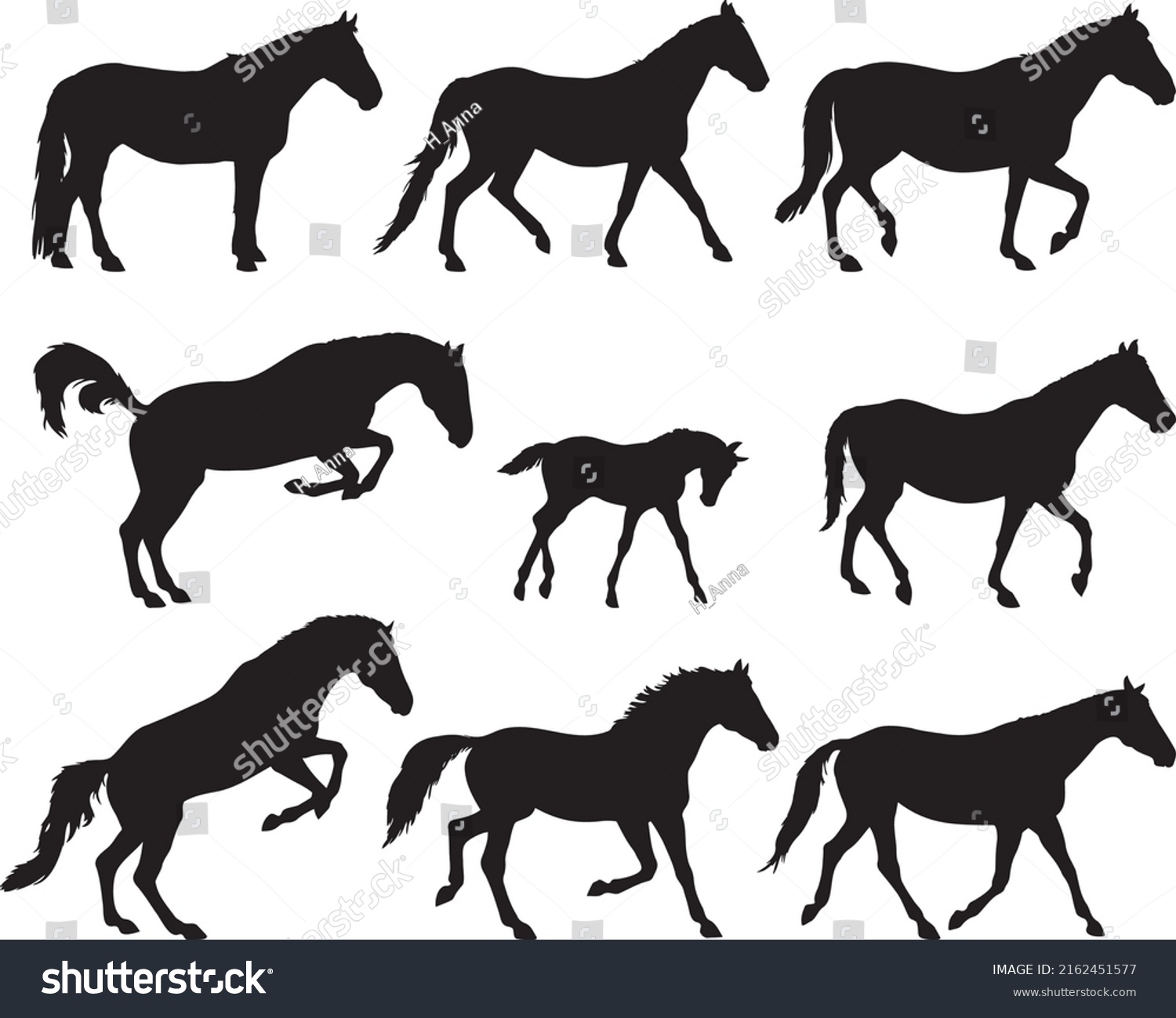 Horse Silhouettes Collection Isolated On White Stock Vector (Royalty ...