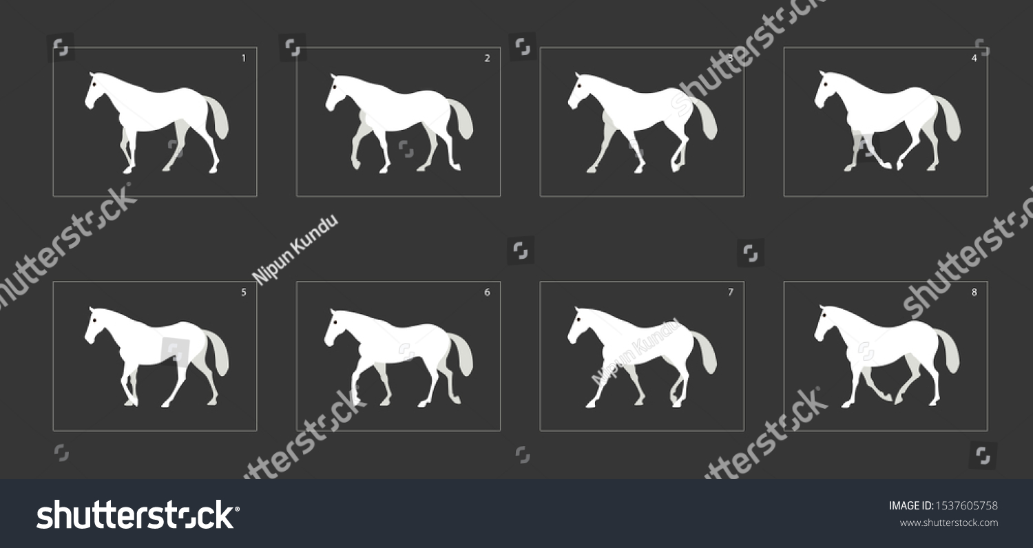 Horse Walk Cycle Animation Frame By Image Vectorielle De Stock Libre