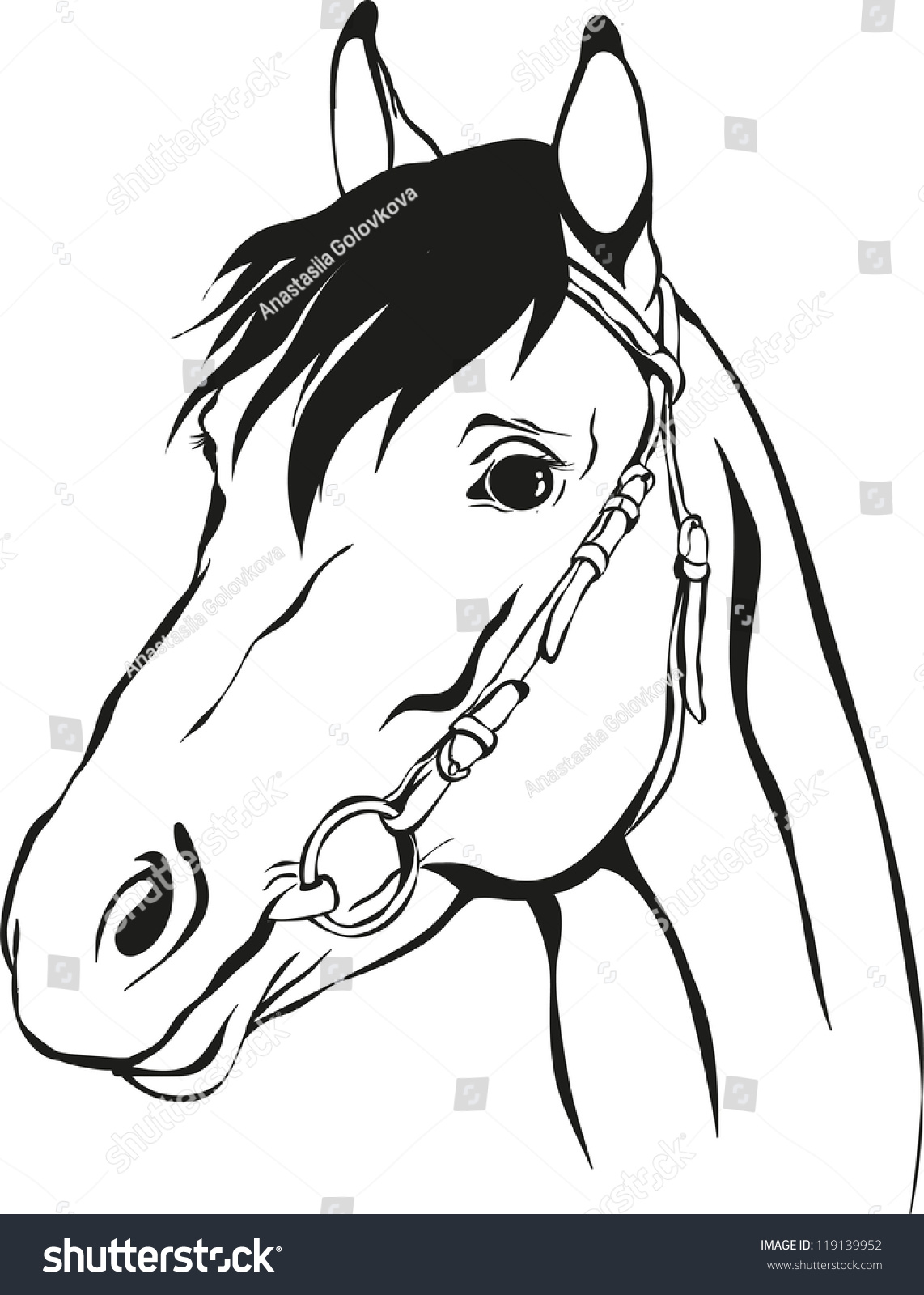 Horse With Bridle Stock Vector Illustration 119139952 : Shutterstock