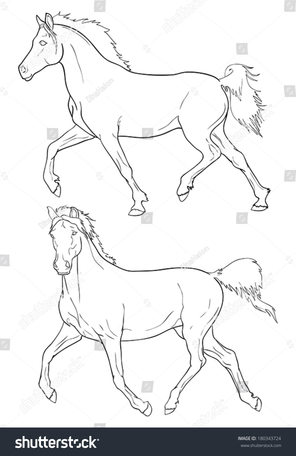 Horses Illustration Illustration Pure Arabian Horse Stock Vector ...