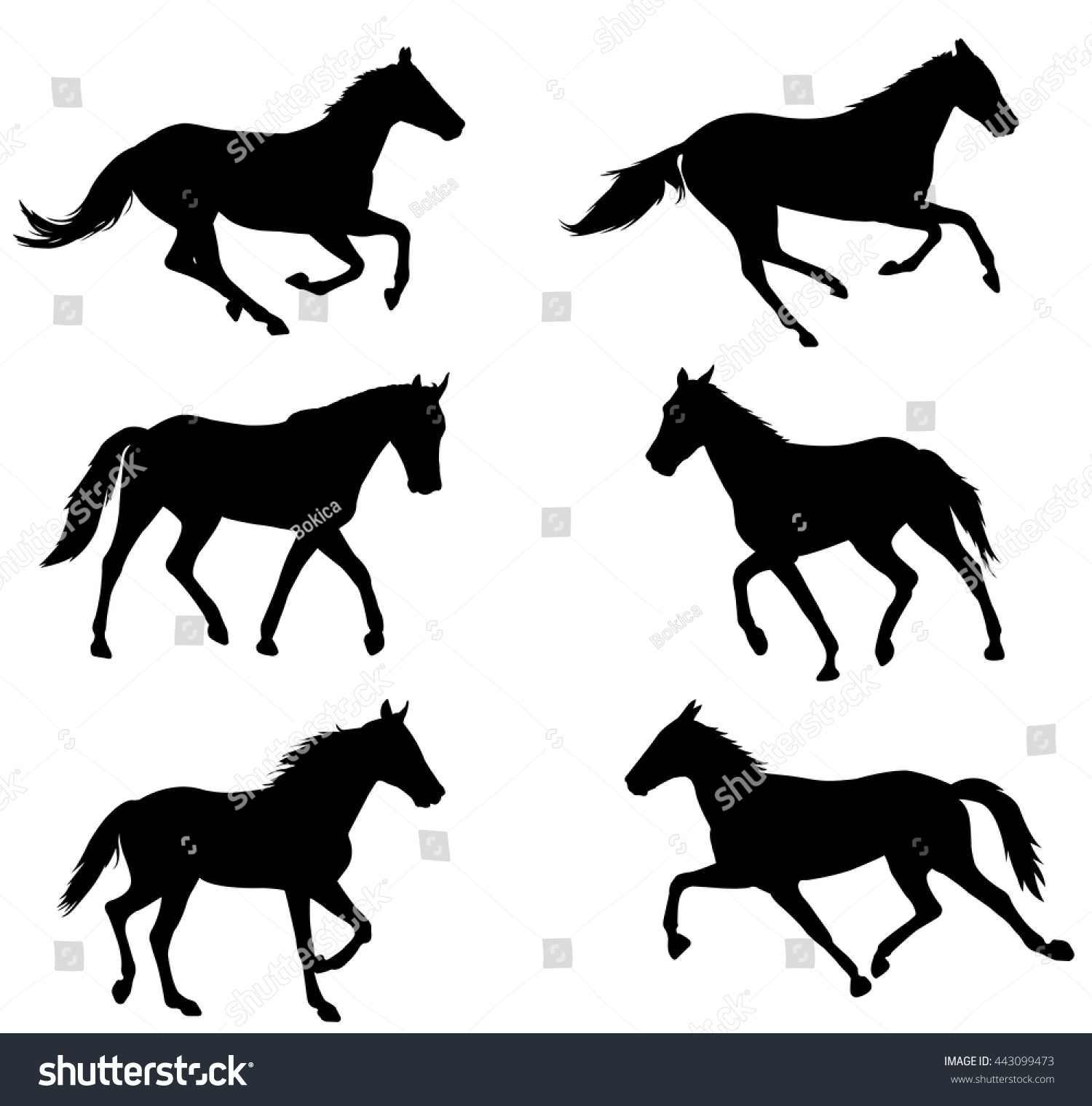Horses Silhouettes Collection - Vector - 443099473 : Shutterstock
