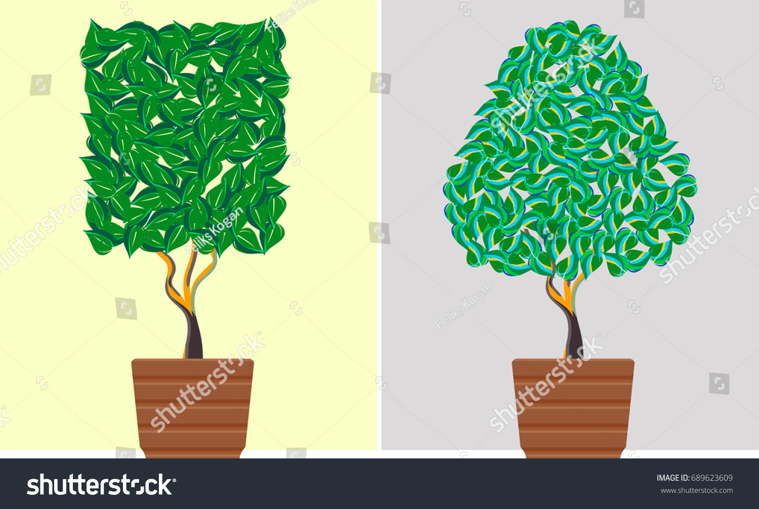 Houseplants