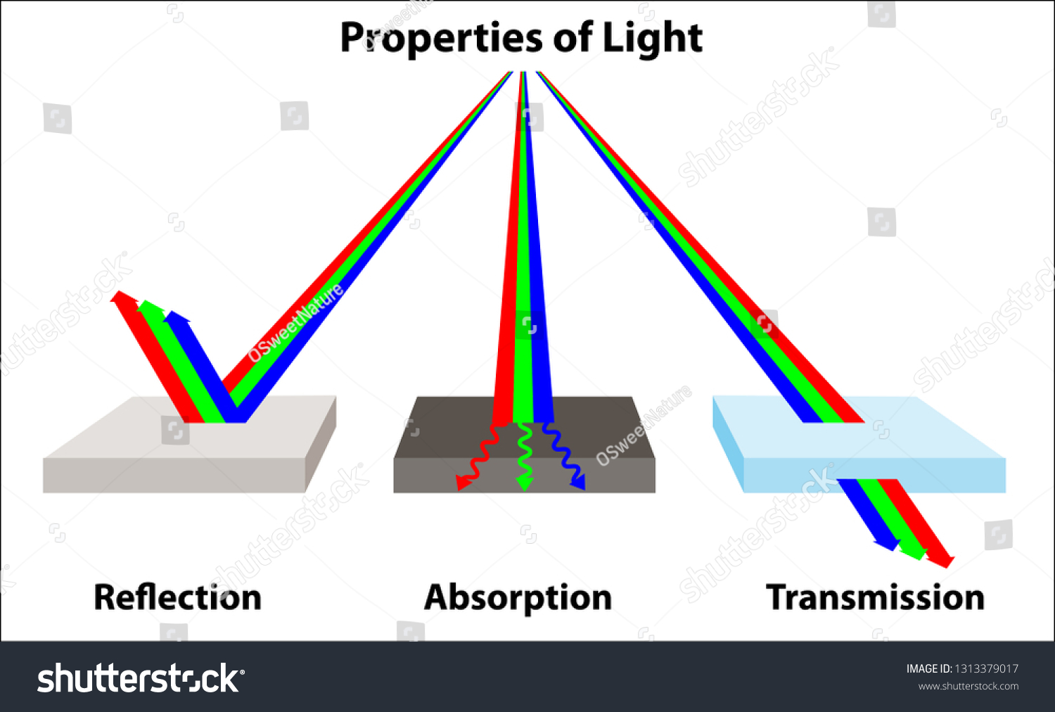 How Light Works Properties Light Reflection Stock Vector Royalty Free