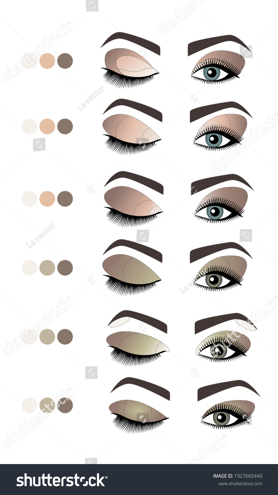 How Apply Eyeshadow Guide Diagram Vector Stock Vector (Royalty Free