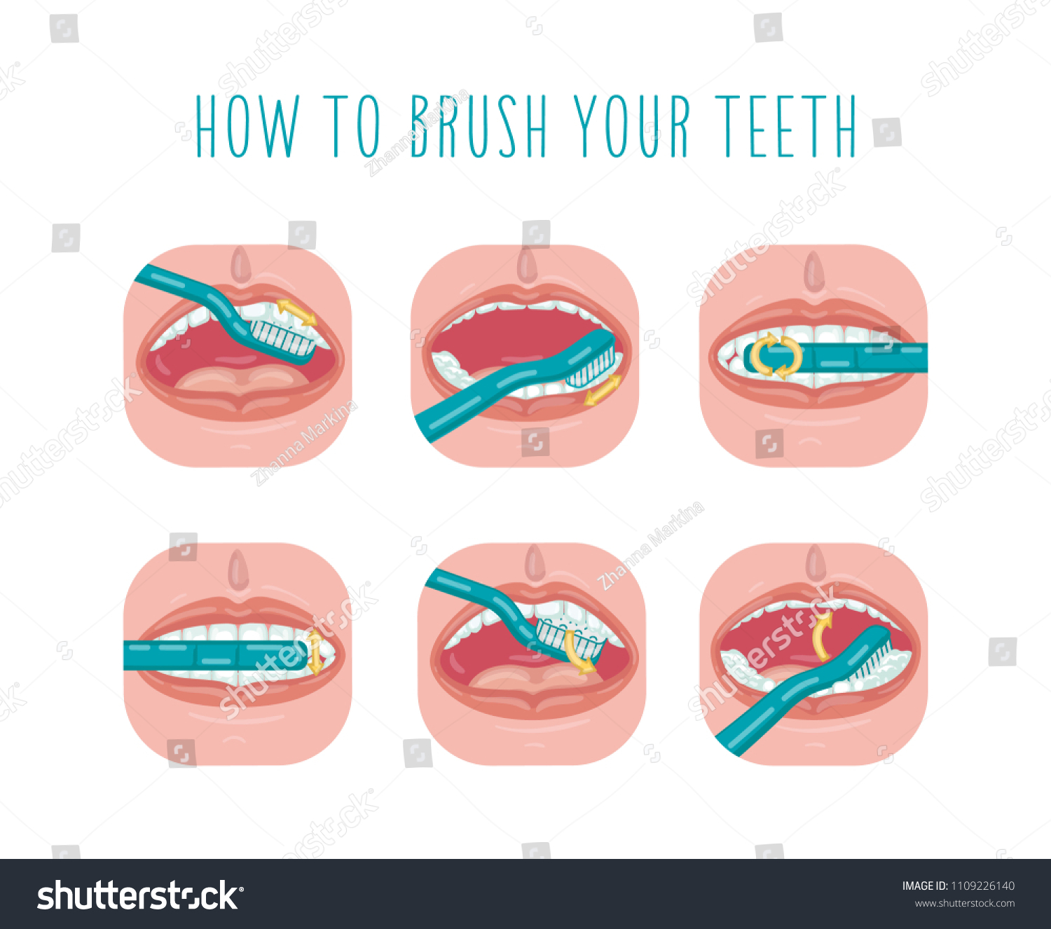 How Brush Your Teeth Vector Infographic Stock Vector (Royalty Free ...