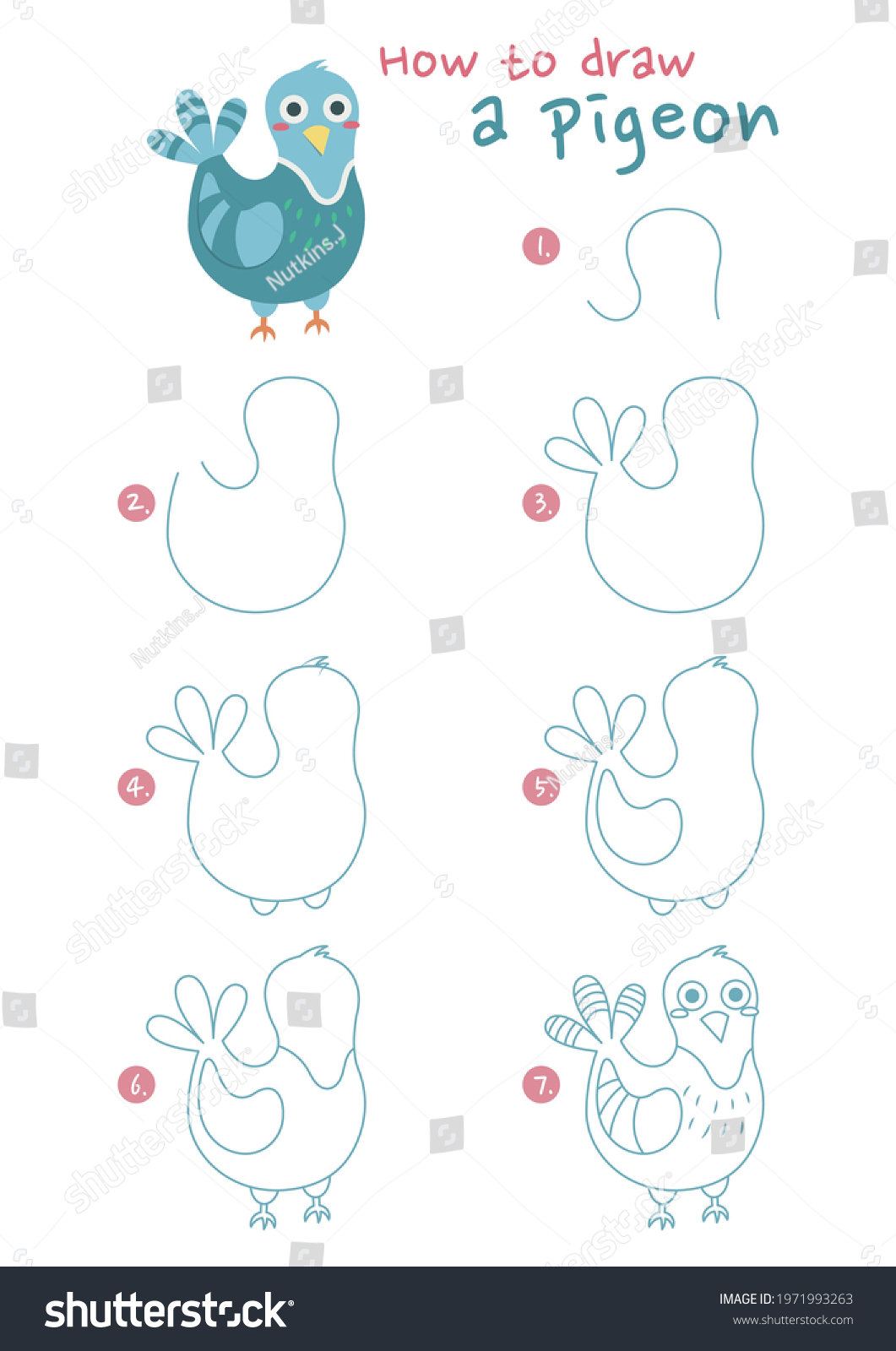 How Draw Pigeon Bird Vector Illustration Stock Vector (Royalty Free ...