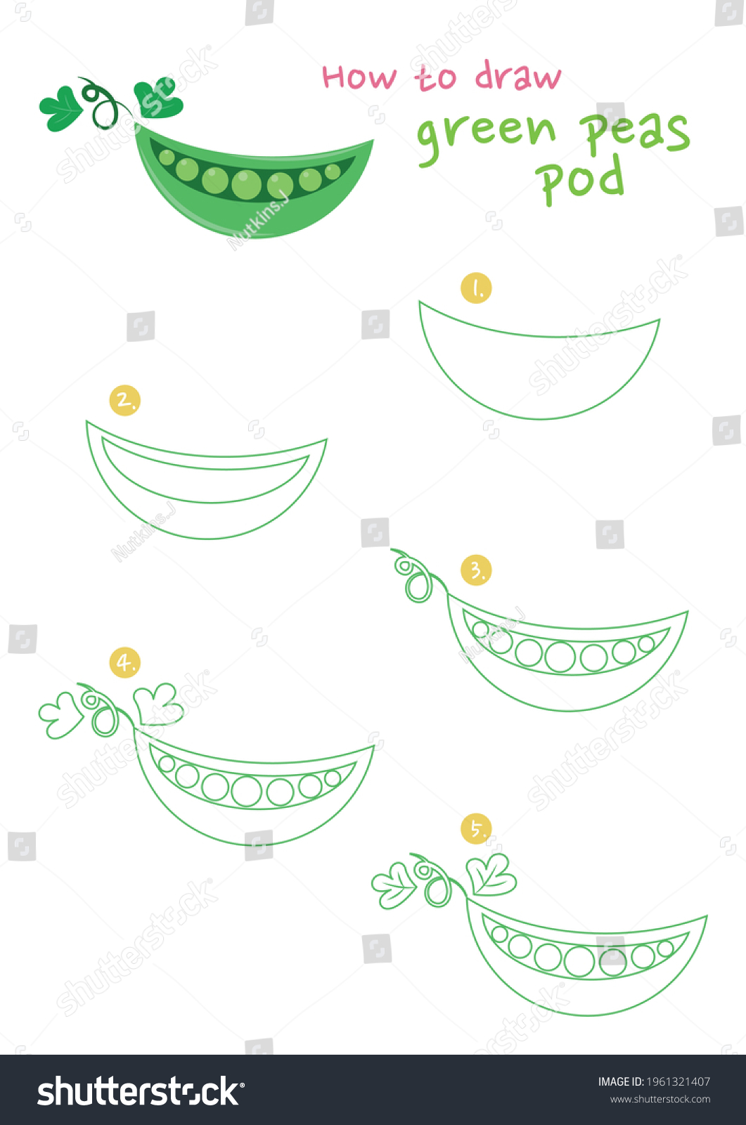 How Draw Green Peas Vector Illustration Stock Vector (Royalty Free