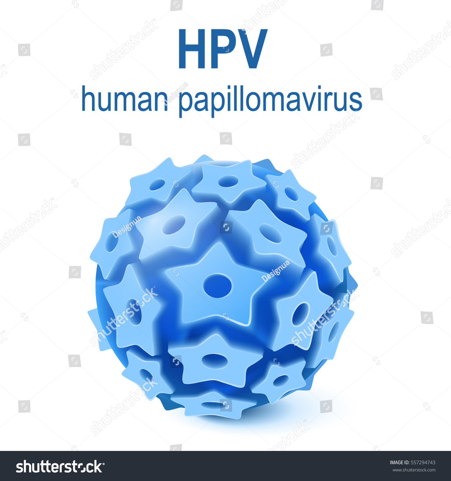 hpv vírus vorter