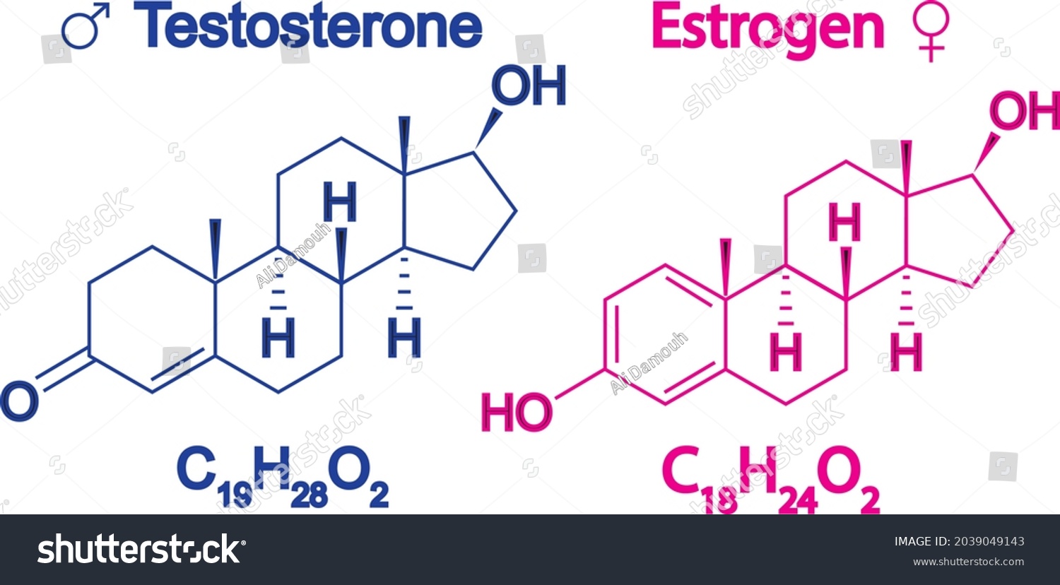 Humain Sex Hormones Molecular Formula Estrogen Stock Vector Royalty Free 2039049143 Shutterstock 9992