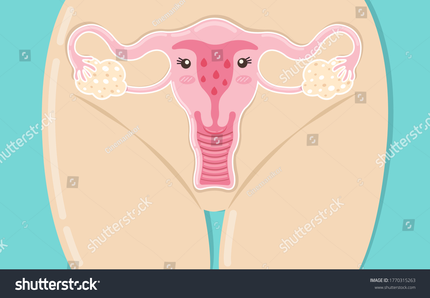 Human Anatomy Female Reproductive System Female เวกเตอร์สต็อก ปลอดค่าลิขสิทธิ์ 1770315263 4024