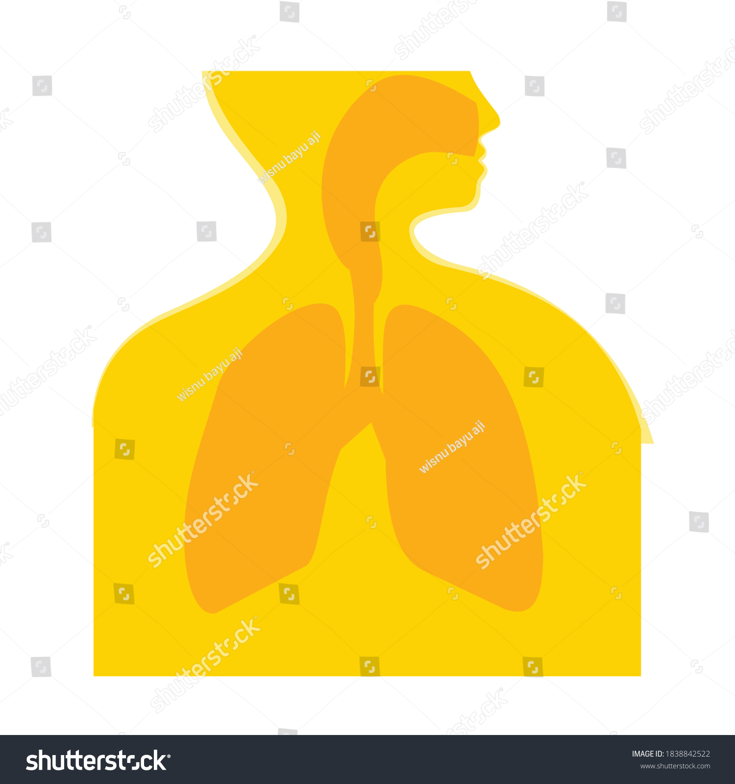 Human Anatomy Lung Respiration Vector Design Stock Vector Royalty Free Shutterstock