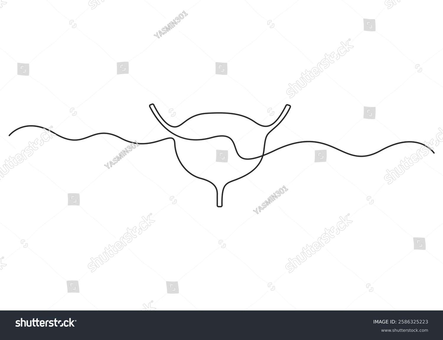 black line art bladder anatomy clip art preview
