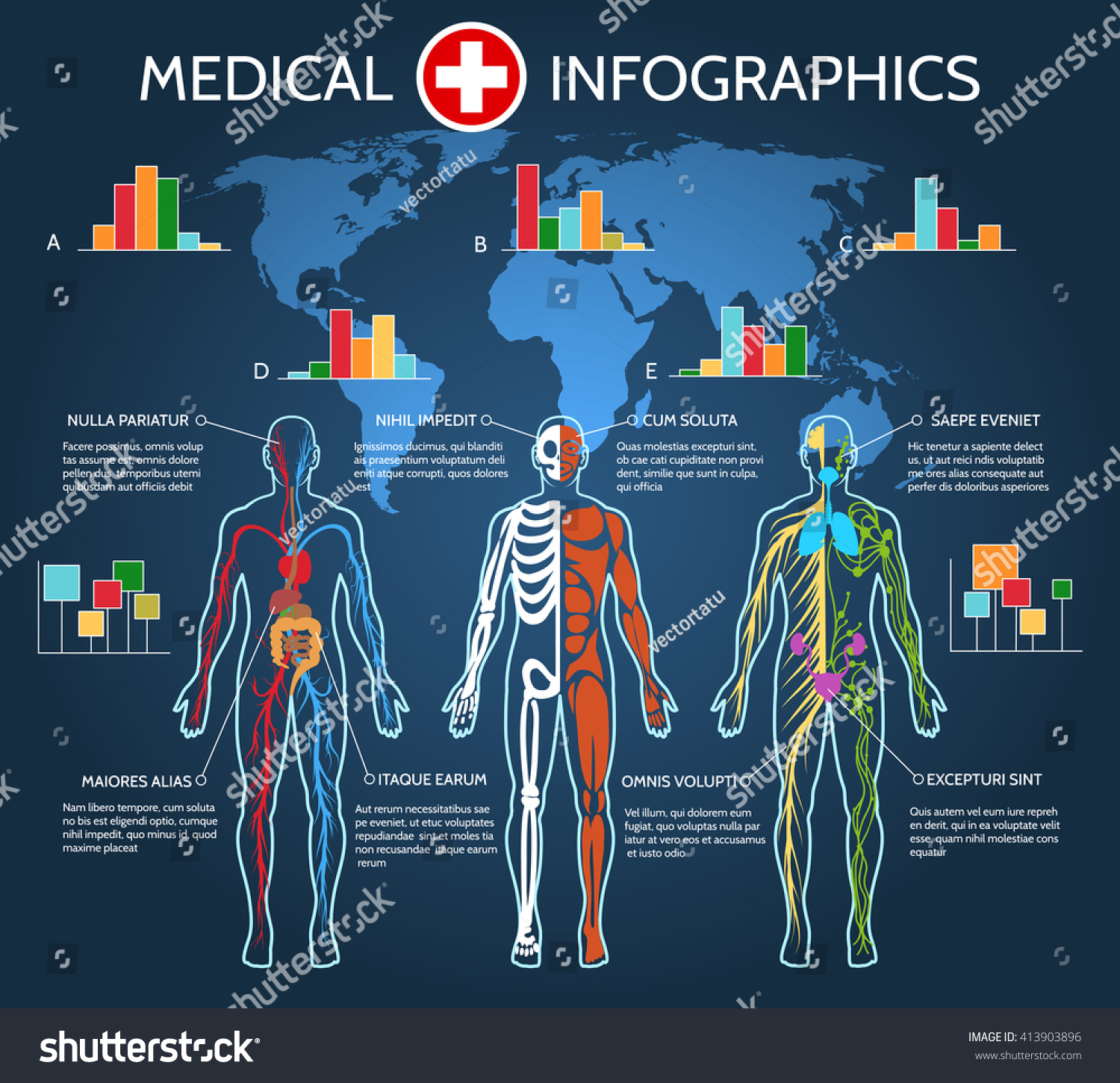 Human Body Anatomy Medical Infographic Vector Illustration - 413903896 ...