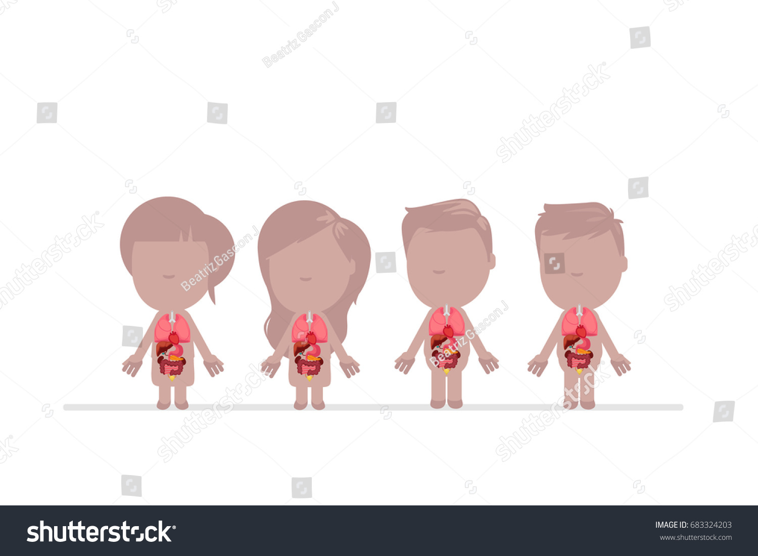 Vektor Stok Human Body Anatomy Vector Illustration Tanpa Royalti 683324203 Shutterstock 