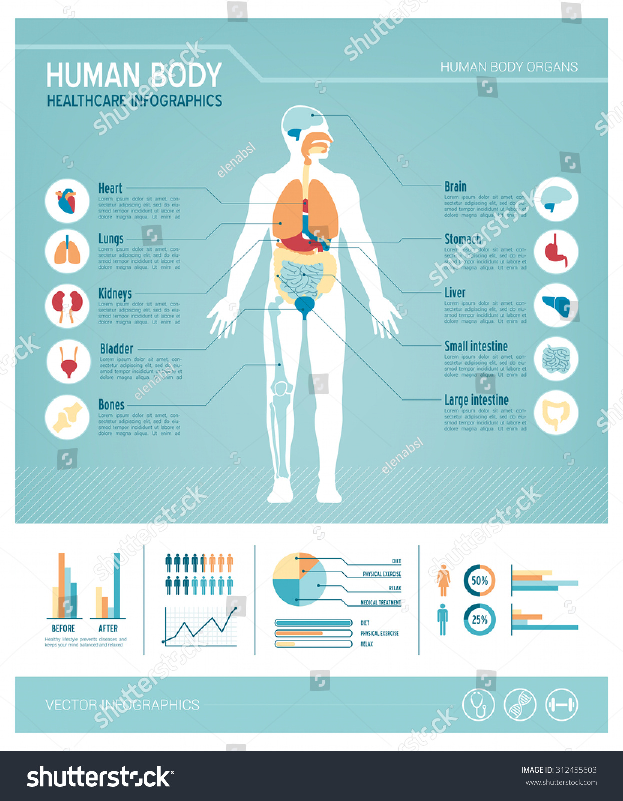 Download Human Body Health Care Infographics, With Medical Icons ...