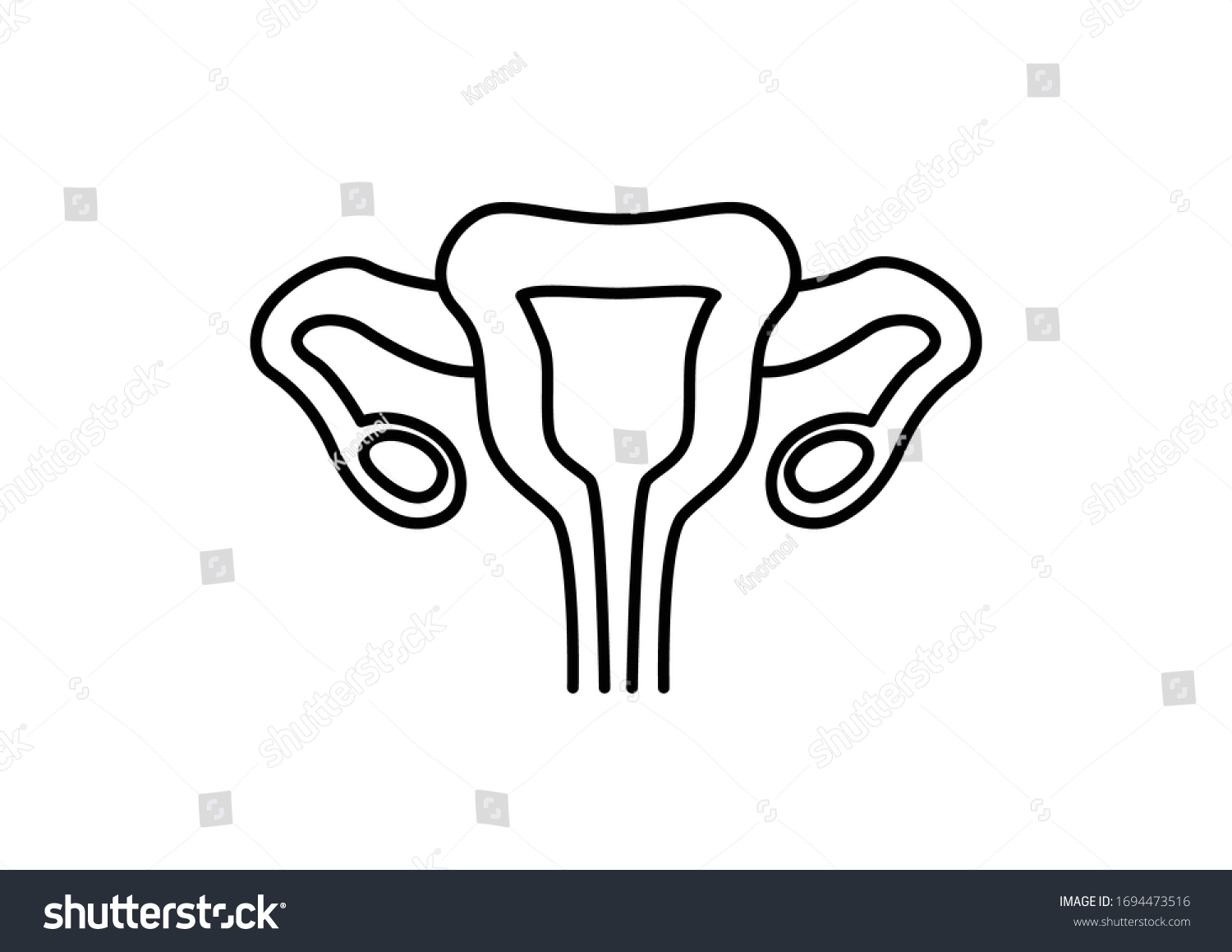 Vektor Stok Human Body Internal Organs On White Tanpa Royalti 1694473516 Shutterstock