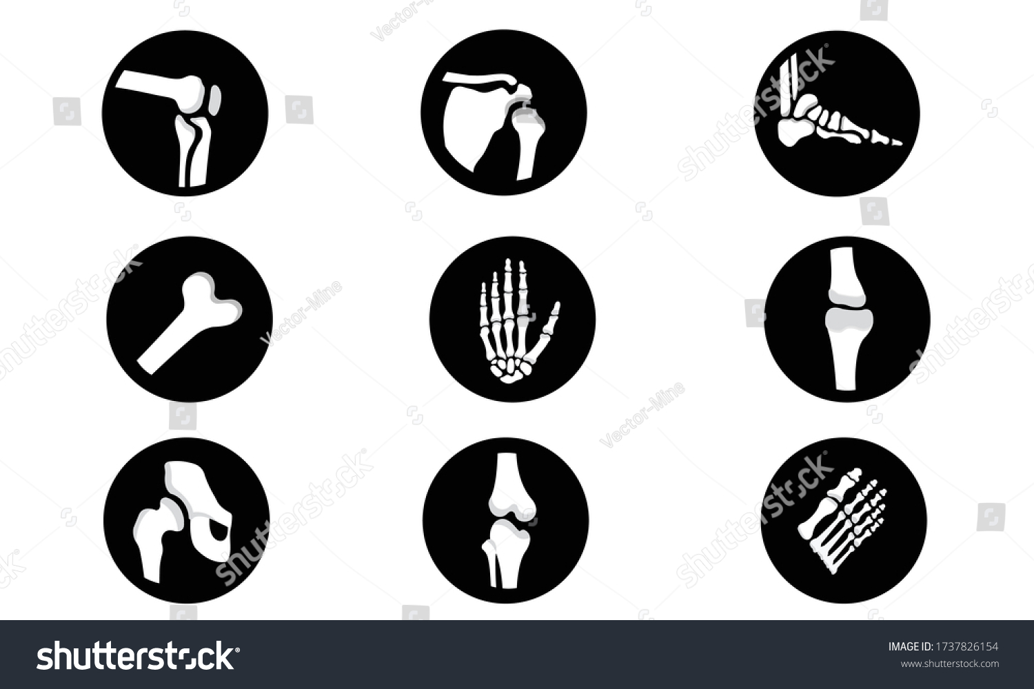 Human Bone Cartilage Joint Icon Set Stock Vector (Royalty Free) 1737826154