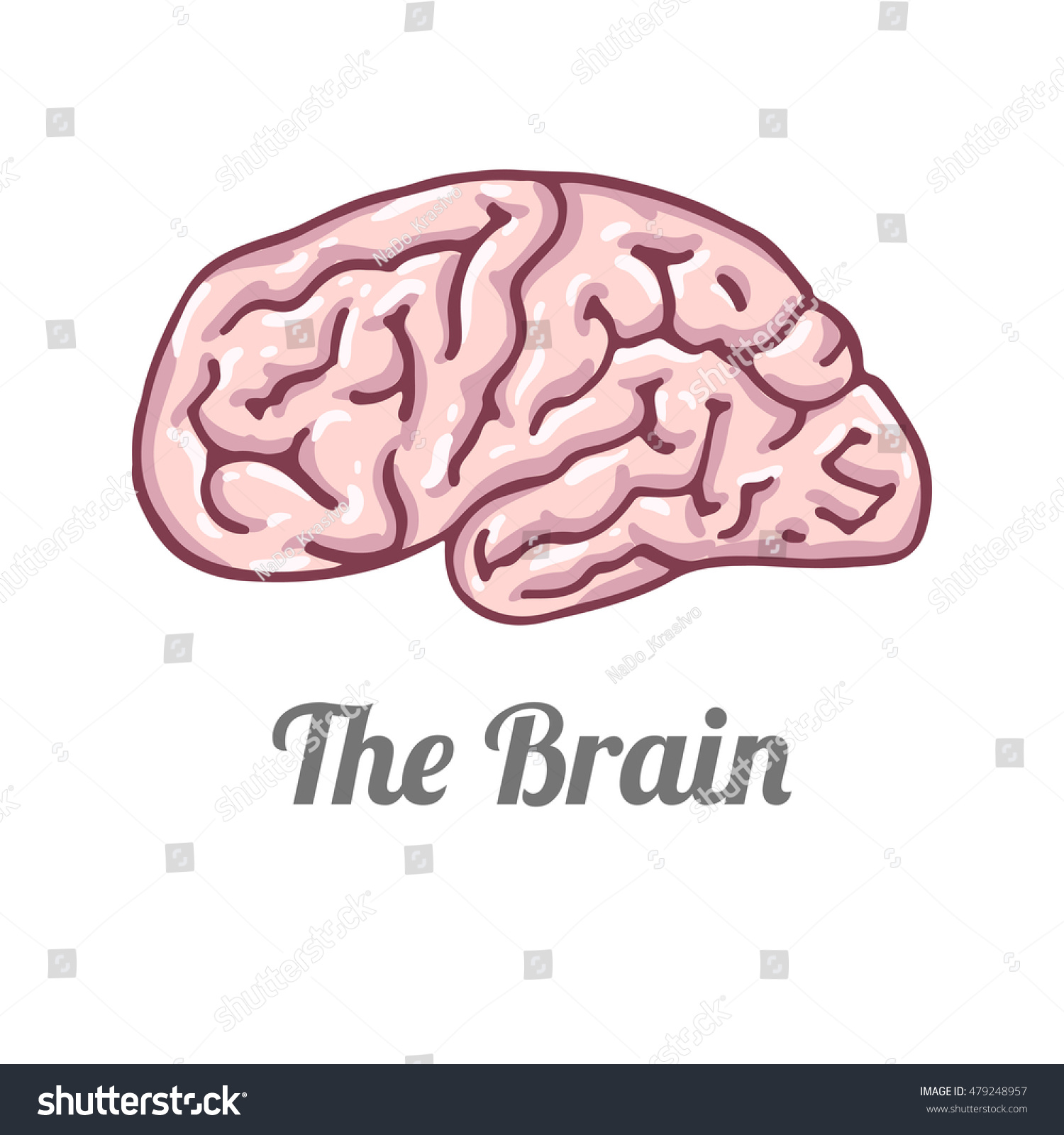 Vektor Stok Human Brain Hand Drawn Illustration Tanpa Royalti Shutterstock