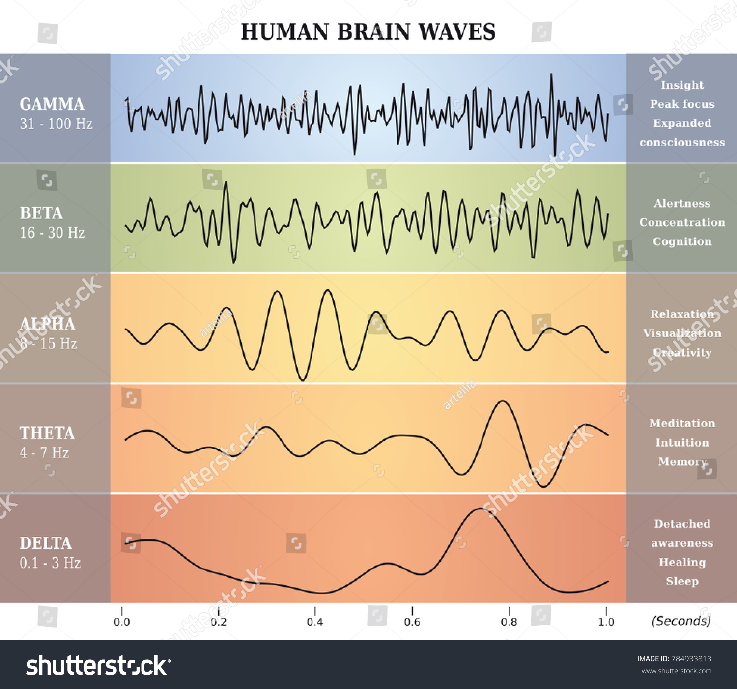 1,727 Brain wave chart Images, Stock Photos & Vectors | Shutterstock