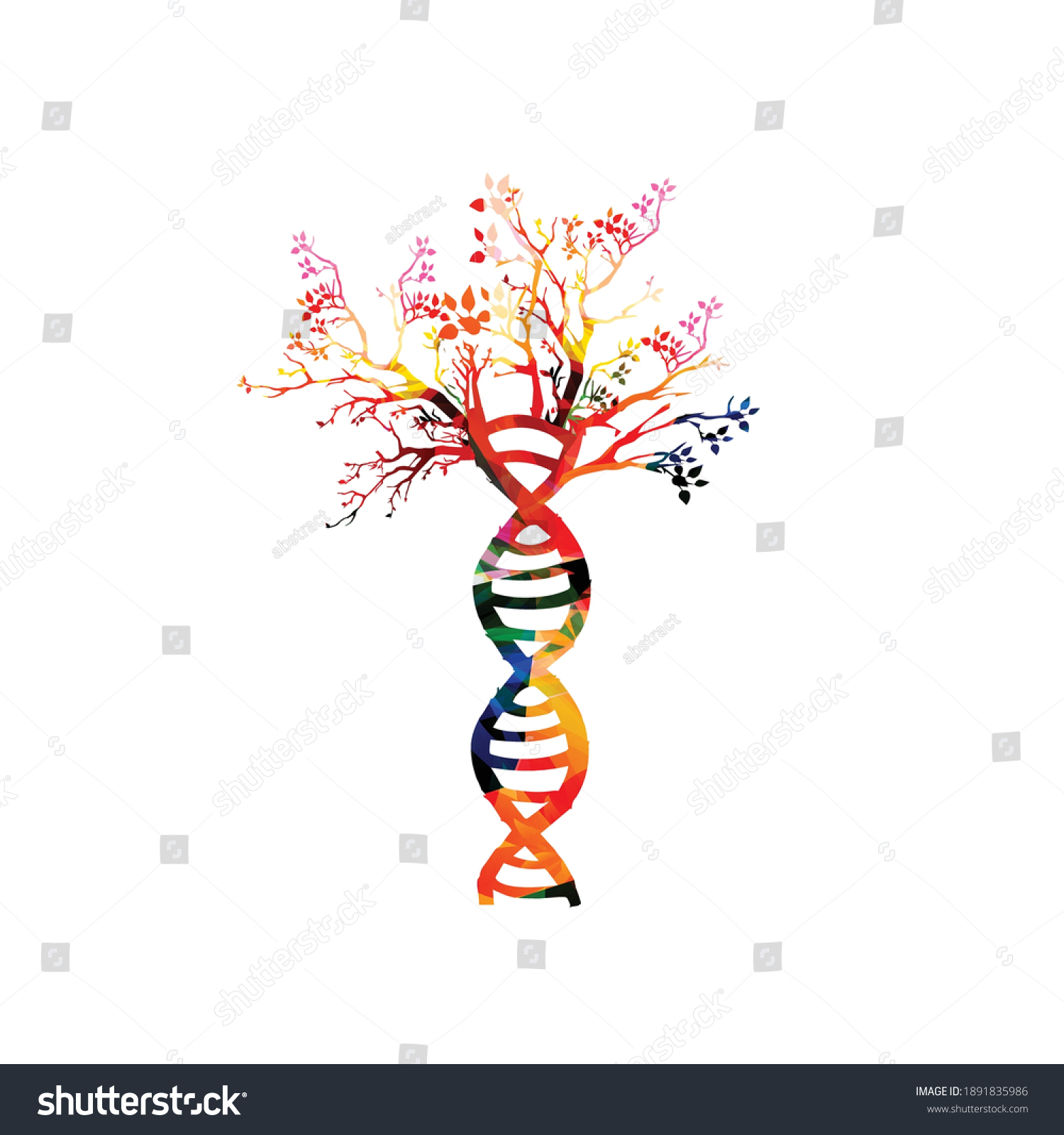 1,707 Dna tree isolated Images, Stock Photos & Vectors | Shutterstock