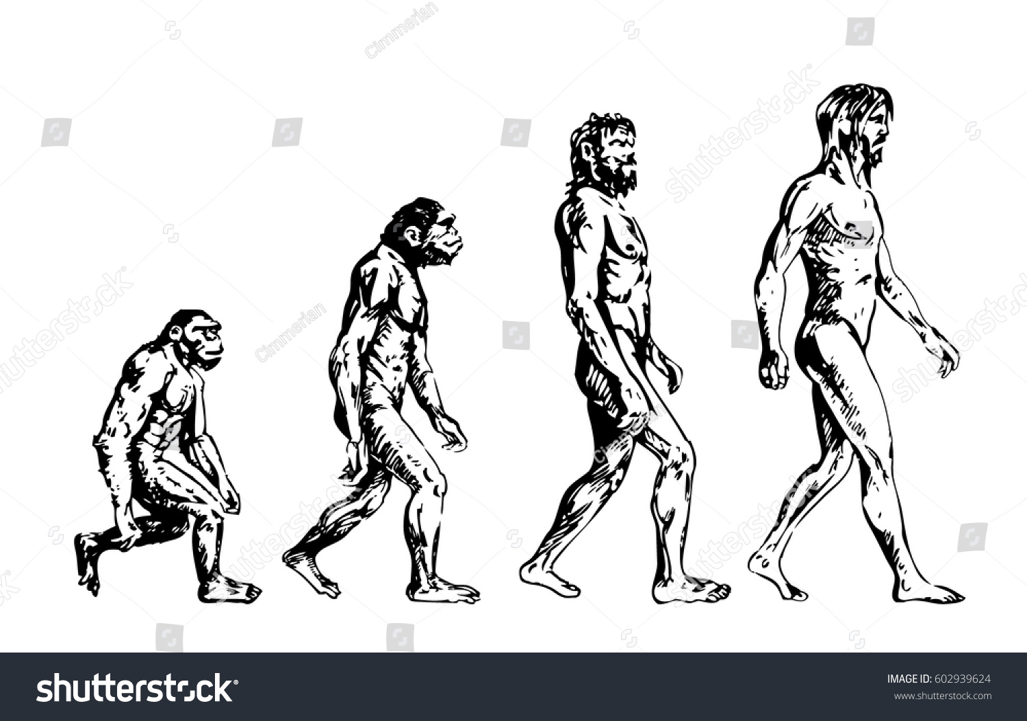 Human Evolution Hand Drawing Stock Vector 602939624 - Shutterstock