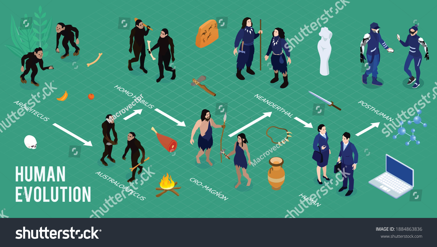 SVG of Human evolution isometric infographics layout with images of homo habilis ardipithecus cro magnon australopithecus as ancient families of caveman vector illustration svg
