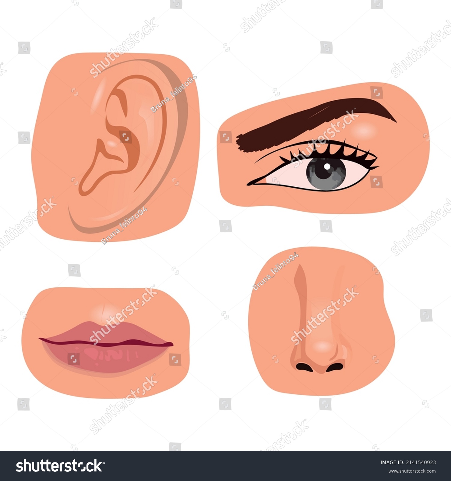 Human Face Parts Sensory Organs Set Stock Vector (Royalty Free ...