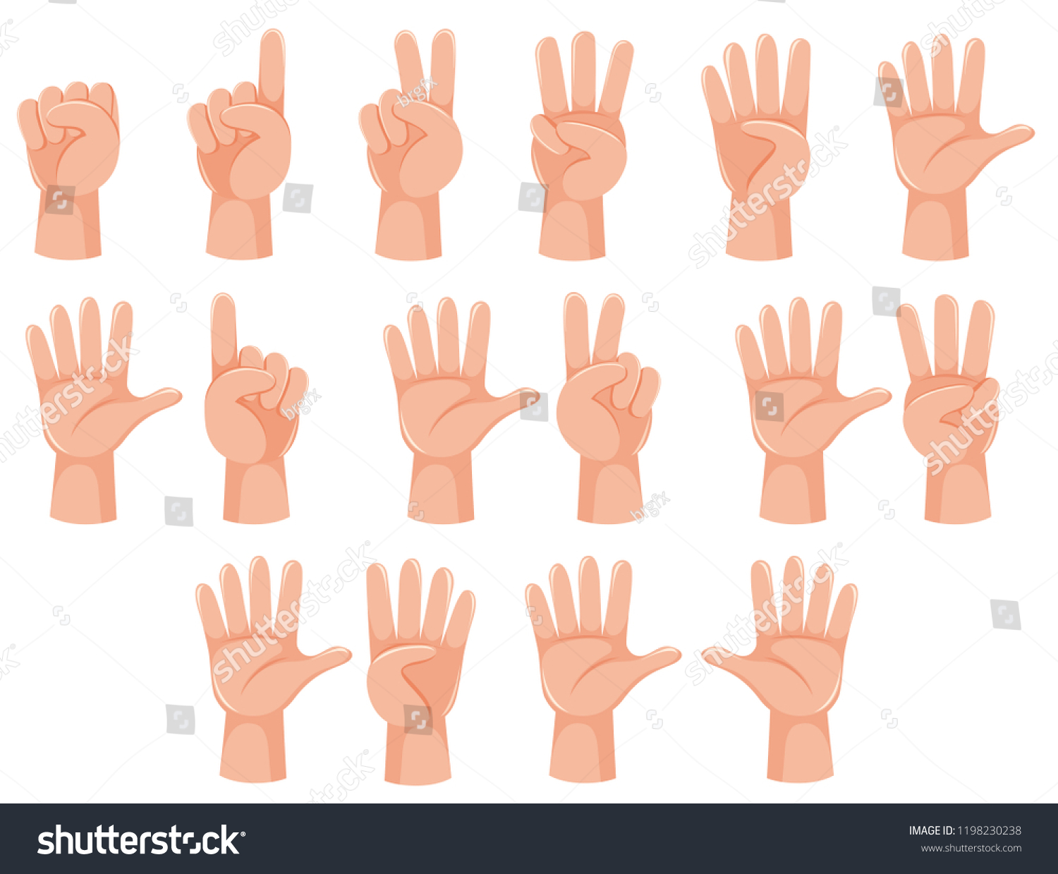 Human Hand Number Gesture Illustration Stock Vector (Royalty Free ...