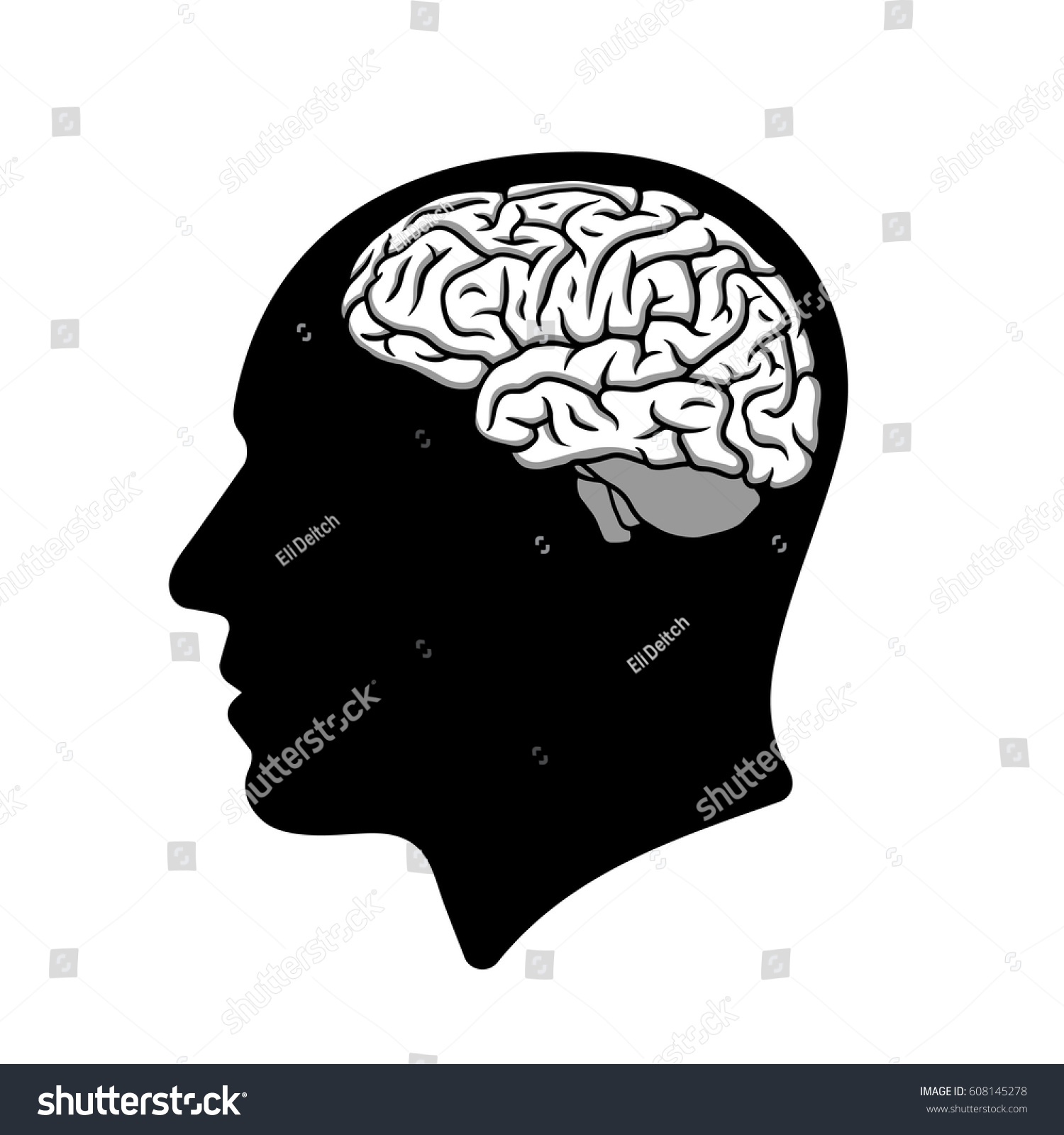 脳イラストと人間の頭のシルエット のベクター画像素材 ロイヤリティフリー