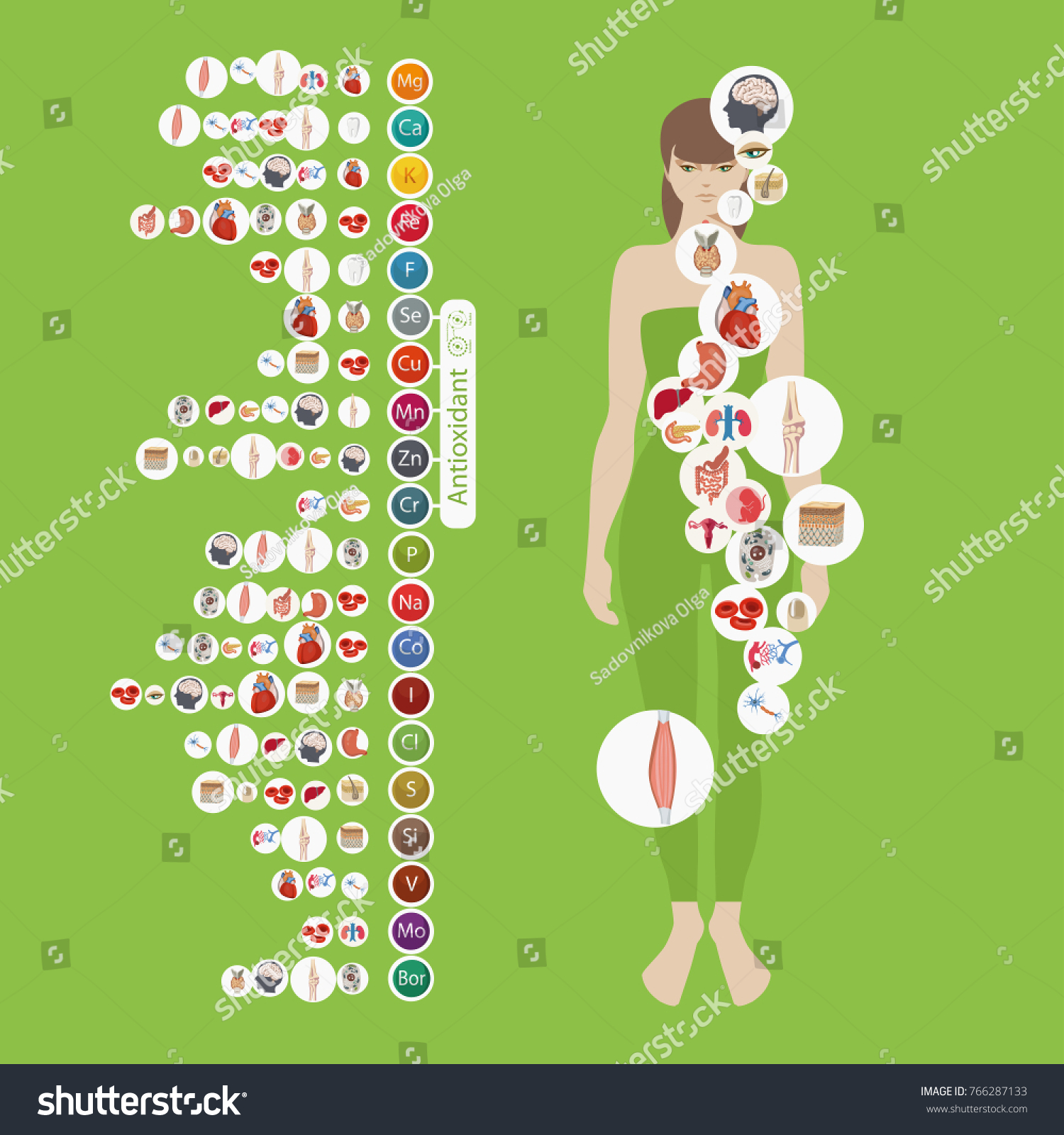 Microelements in the human body: their role and importance. Table Microelements in the human body: their role and importance. Table