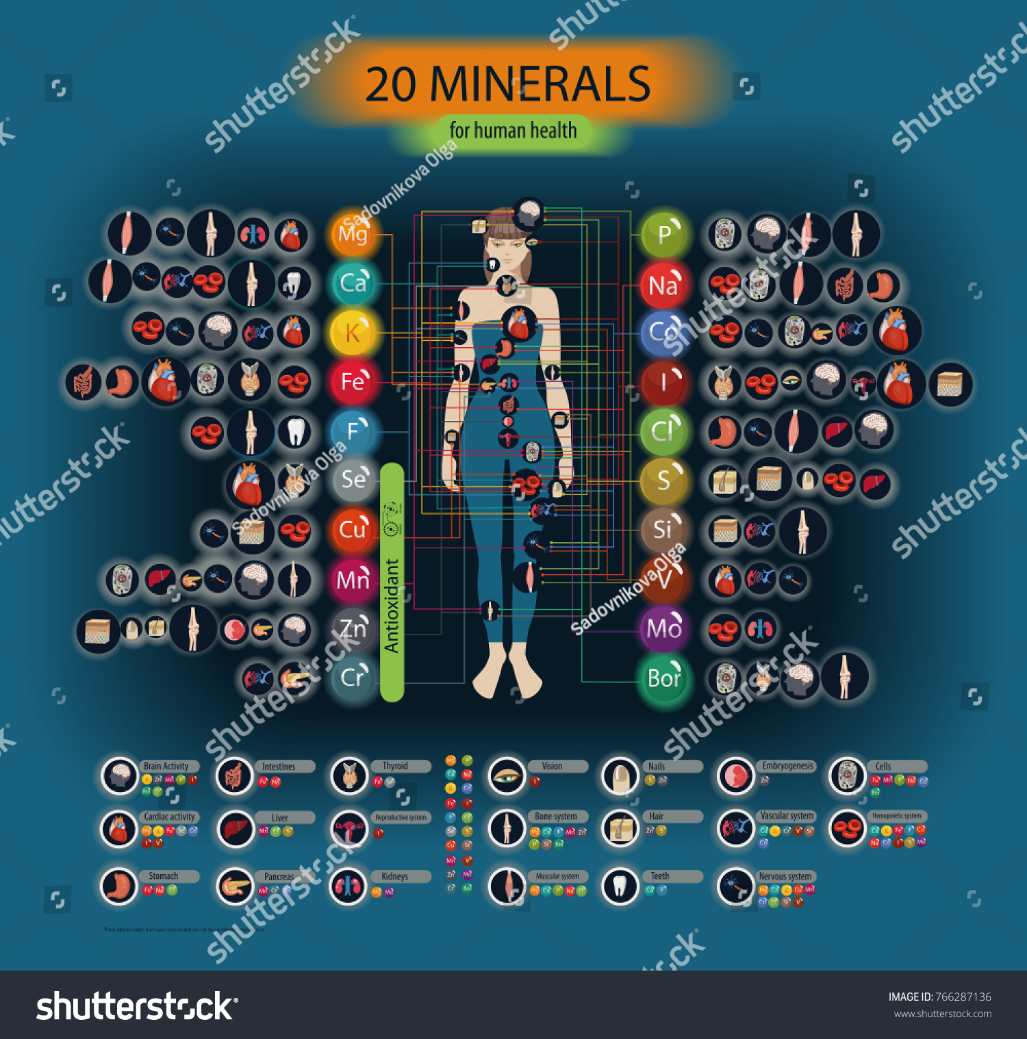 Microelements in the human body: their role and importance. Table Microelements in the human body: their role and importance. Table