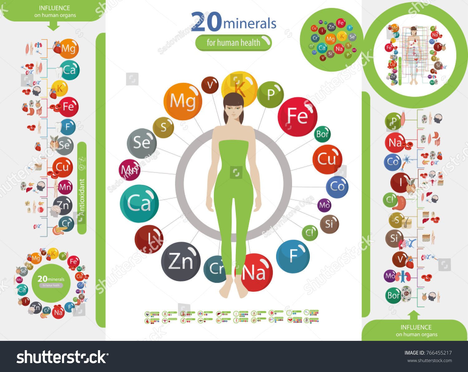 Microelements in the human body: their role and importance. Table Microelements in the human body: their role and importance. Table