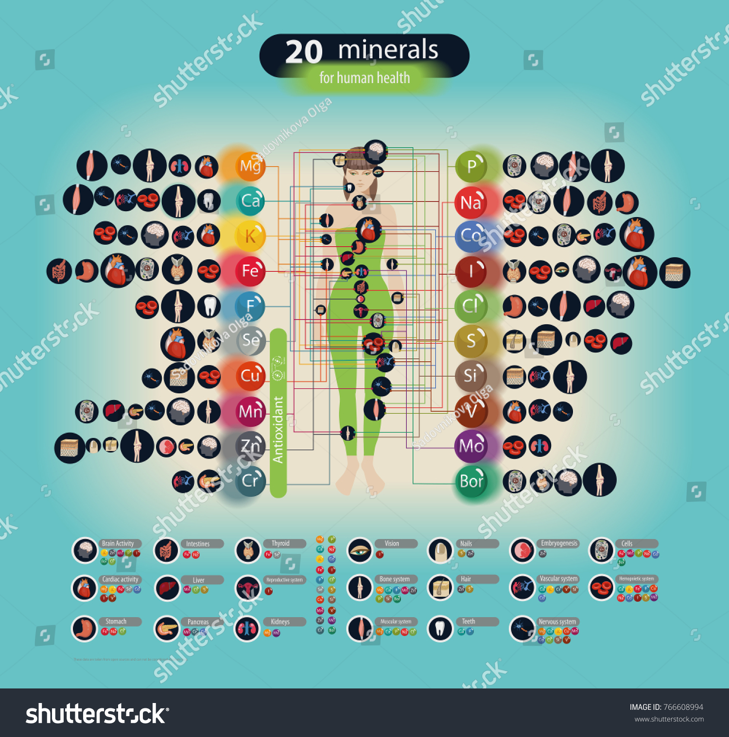 Microelements in the human body: their role and importance. Table Microelements in the human body: their role and importance. Table