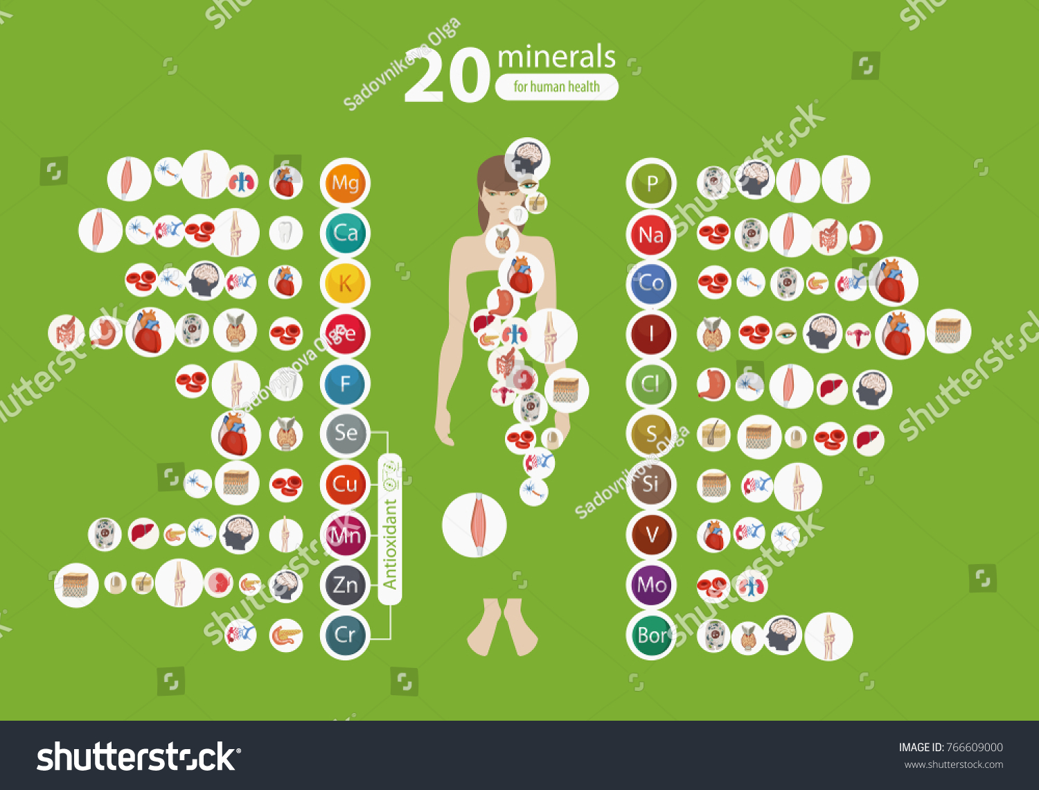Microelements in the human body: their role and importance. Table Microelements in the human body: their role and importance. Table
