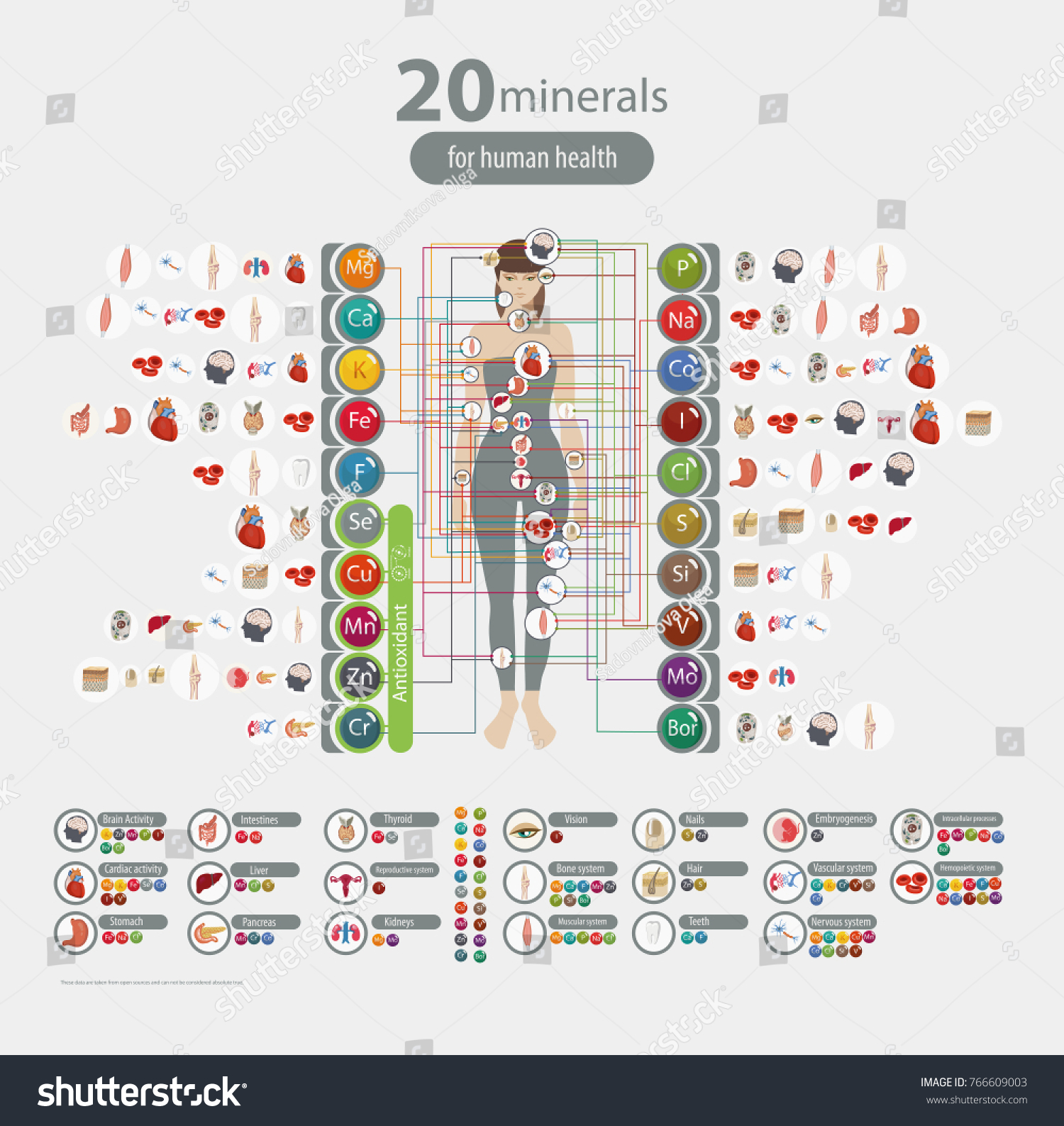 Microelements in the human body: their role and importance. Table Microelements in the human body: their role and importance. Table