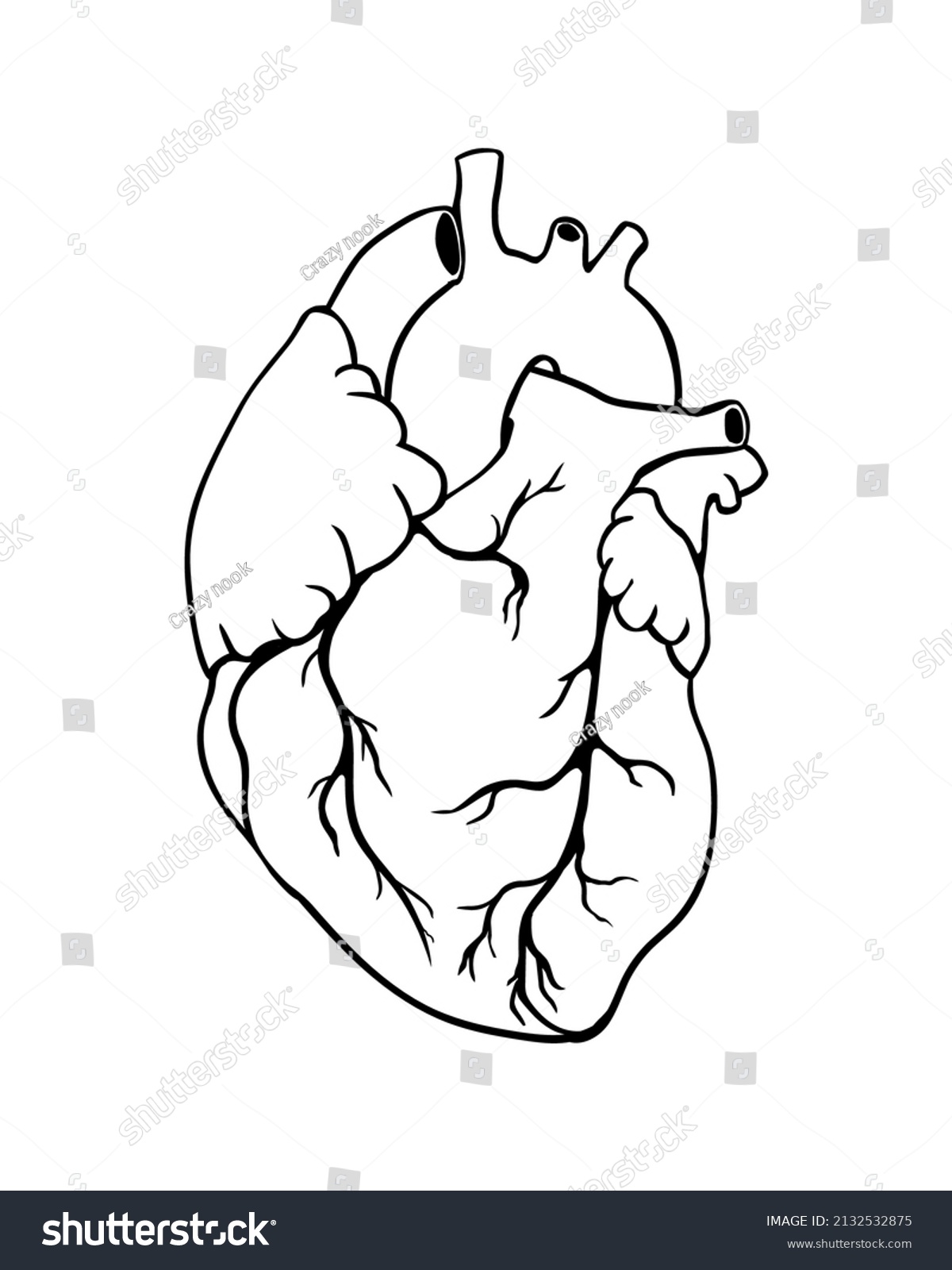 Human Heart Black On White Vector Stock Vector (Royalty Free ...