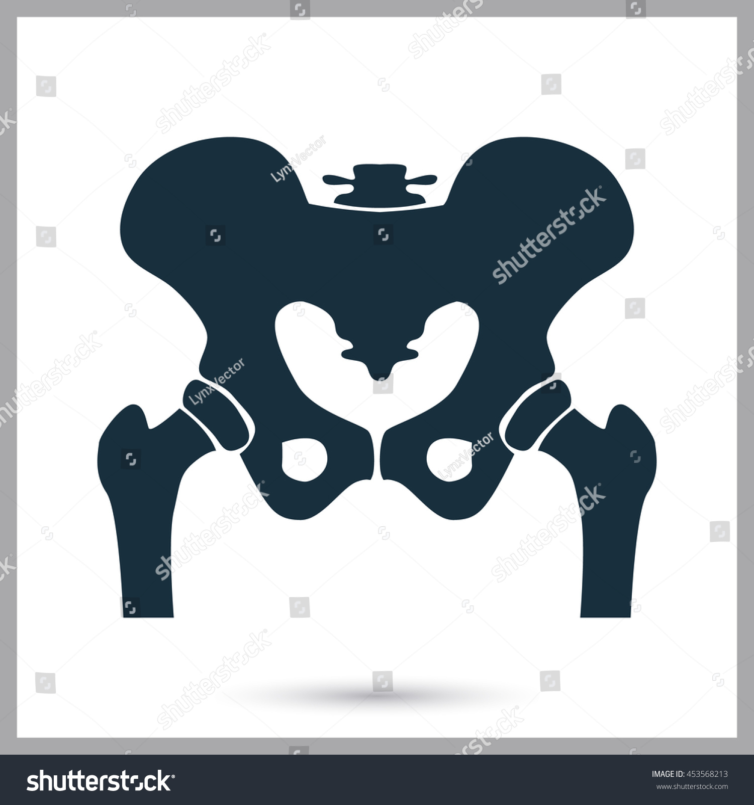 7,430 Human hip icon Images, Stock Photos & Vectors | Shutterstock