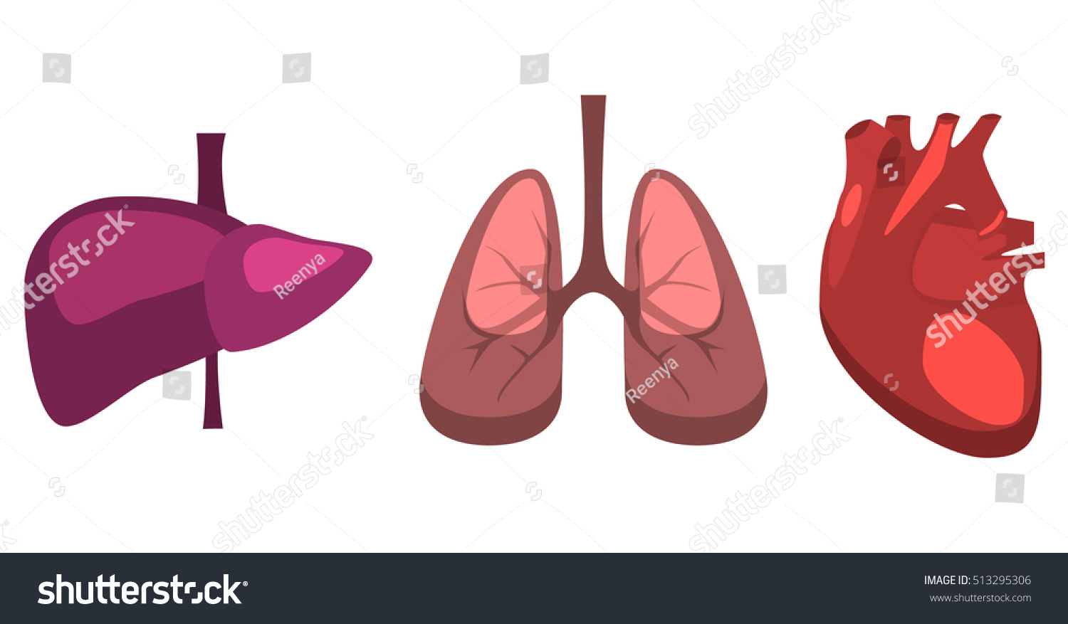 How To Keep Your Lungs Healthy According To Doctors Health Com