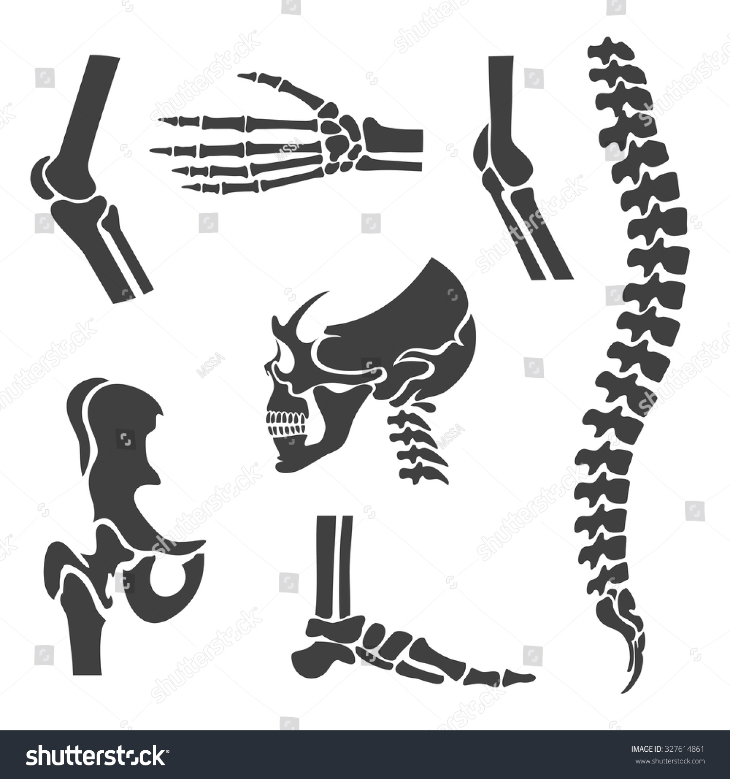 Human Joints Vector Set. Orthopedic And Spine Symbols. Elbow And Knee ...