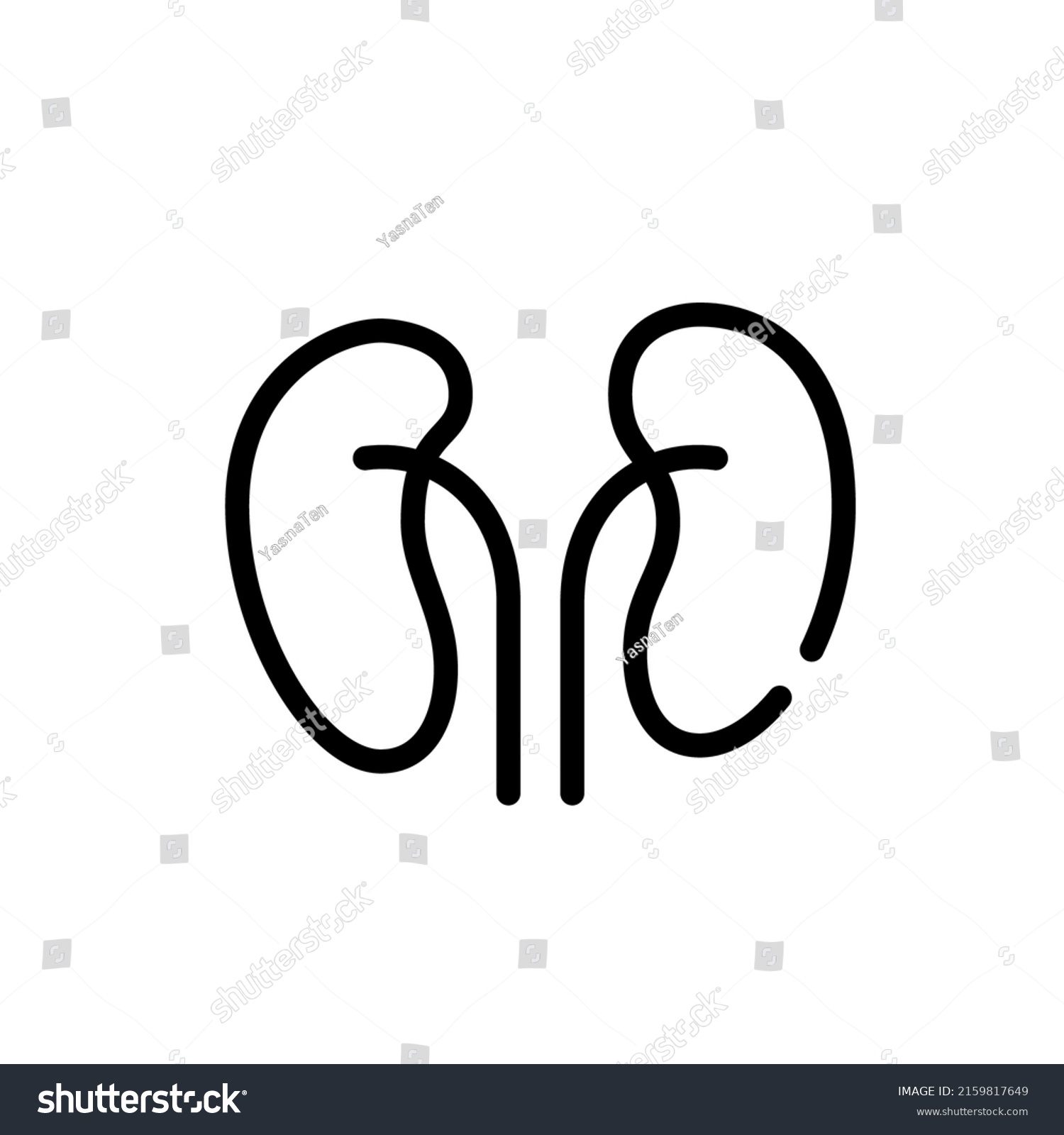 Human Kidneys Internal Organ Anatomy Icon Stock Vector (Royalty Free ...