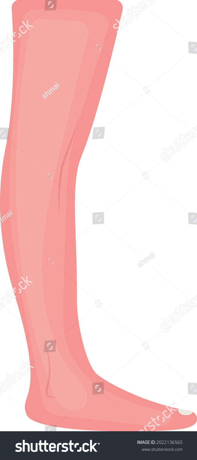 Human Knee Foot Leg View Concept Stock Vector (Royalty Free) 2022136565 ...