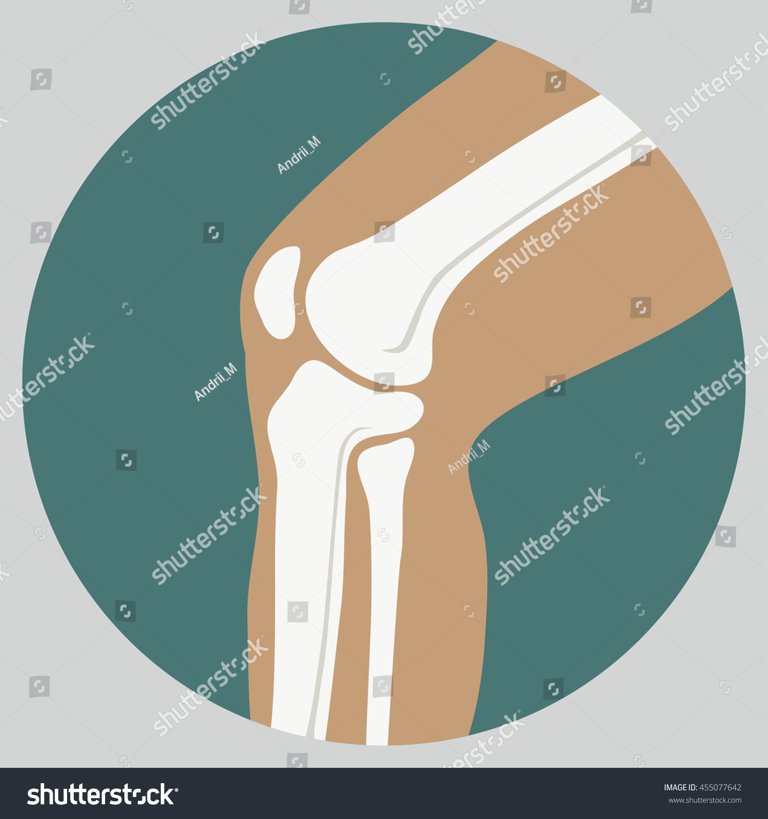 Human Knee Joint Medical Icon Emblem Stock Vector (Royalty Free ...