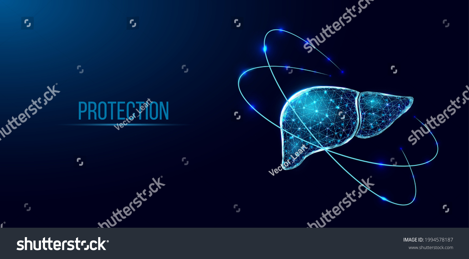 SVG of Human liver protection. Wireframe low poly style. Concept for medical, pharmacology, treatment of the hepatitis. Abstract modern 3d vector illustration on dark blue background. svg