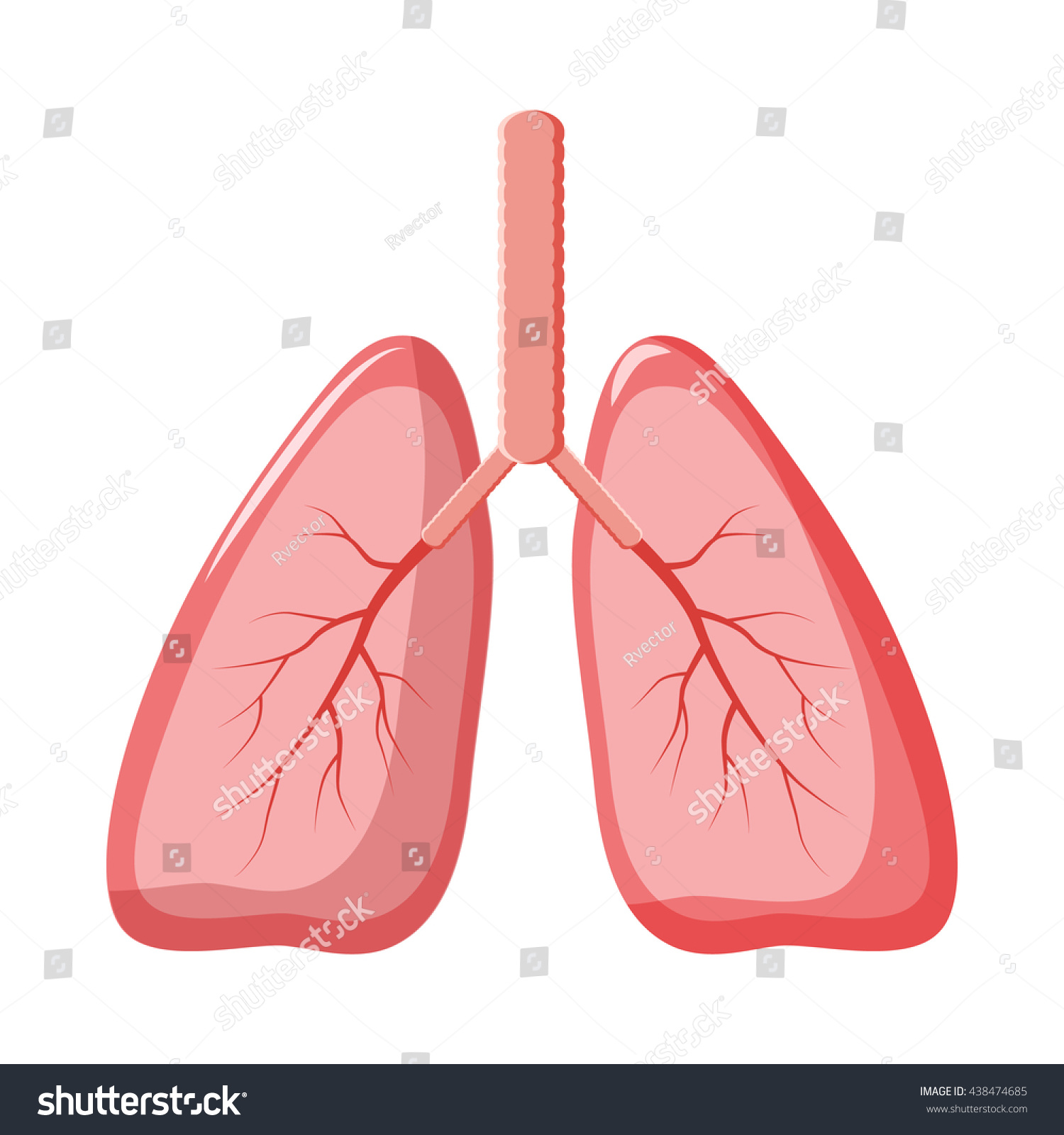 Human Lungs Icon Cartoon Illustration Lungs Stock Vector (Royalty Free ...