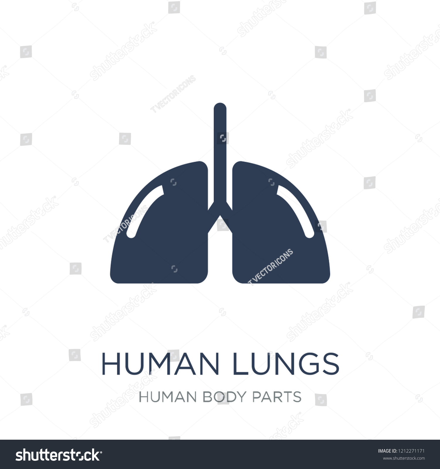 Human Lungs Icon Trendy Flat Vector Stock Vector (Royalty Free ...