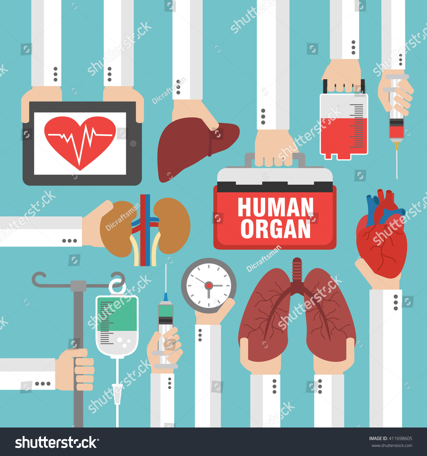 Human Organ Transplantation Design Flatvector Illustration Stock Vector 411698605 Shutterstock